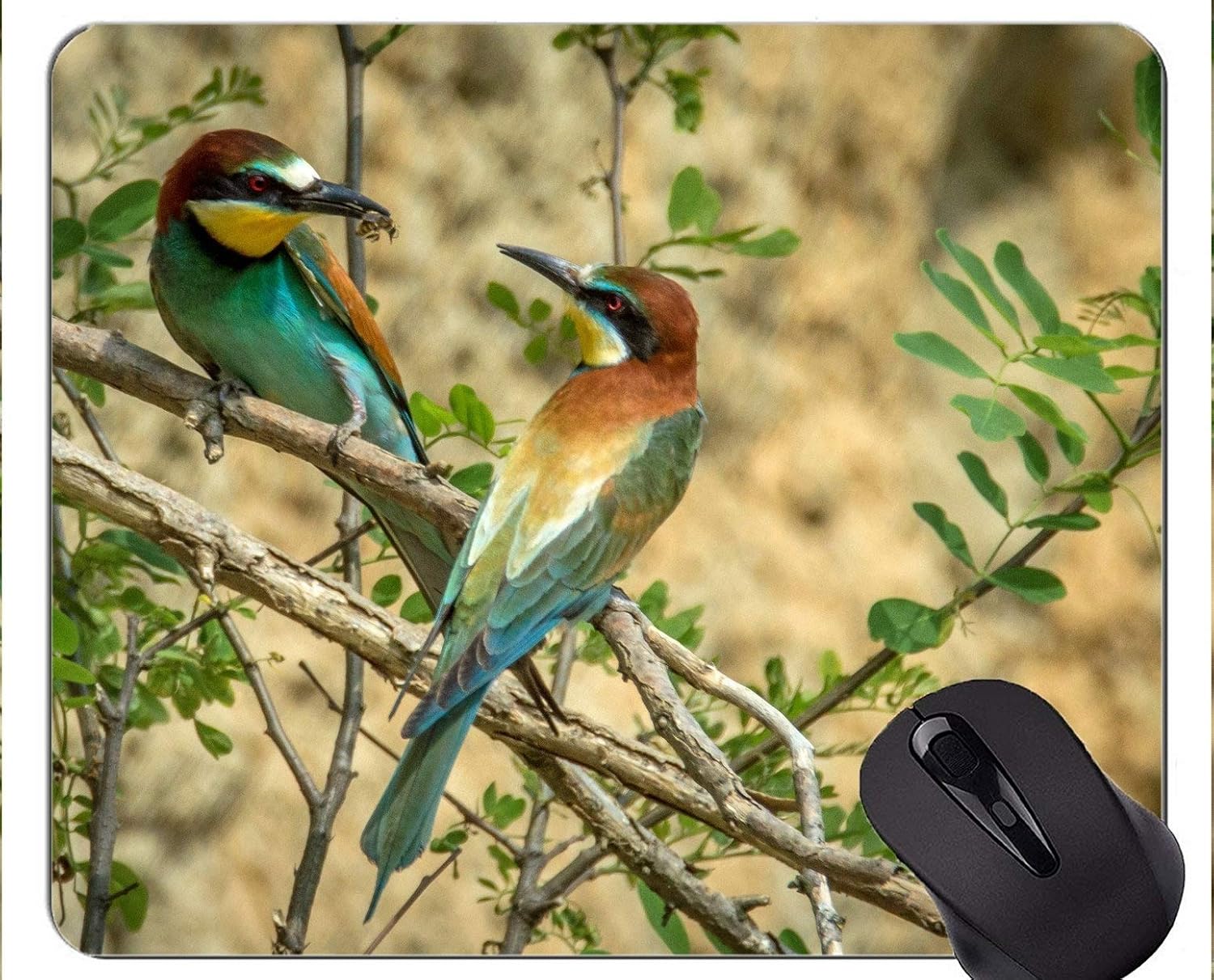 Amazon マウスパッドのカスタムデザイン ヨーロッパの蜂を食べる鳥鳥マウスマット Yanteng マウスパッド 通販 Amazon マウスパッドのカスタムデザイン ヨーロッパの蜂を食べる鳥鳥マウスマット Yanteng マウスパッド 通販