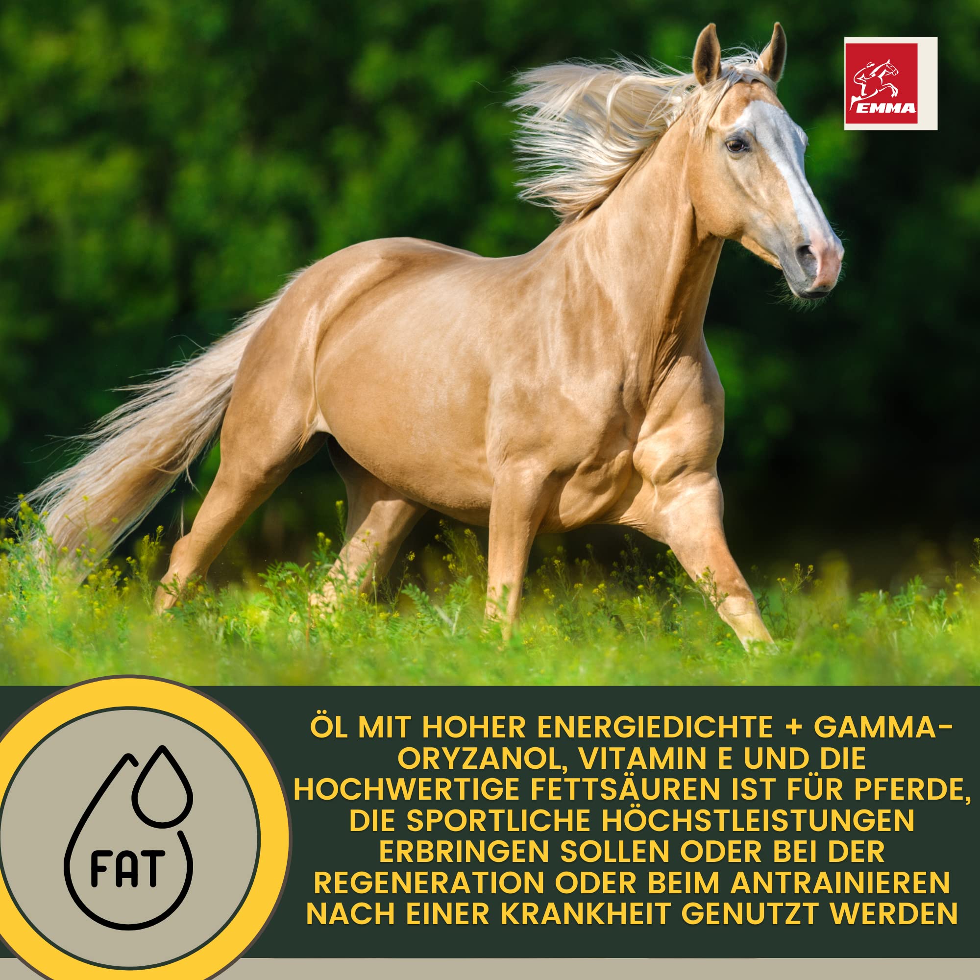Líquido de Refuerzo Muscular para Caballos con Aceite de Germen de arroz Vitamina E Caballo Aceite de linaza I alimento reconstituyente I vitaminas alimento suplementario para el Refuerzo Muscular 1L