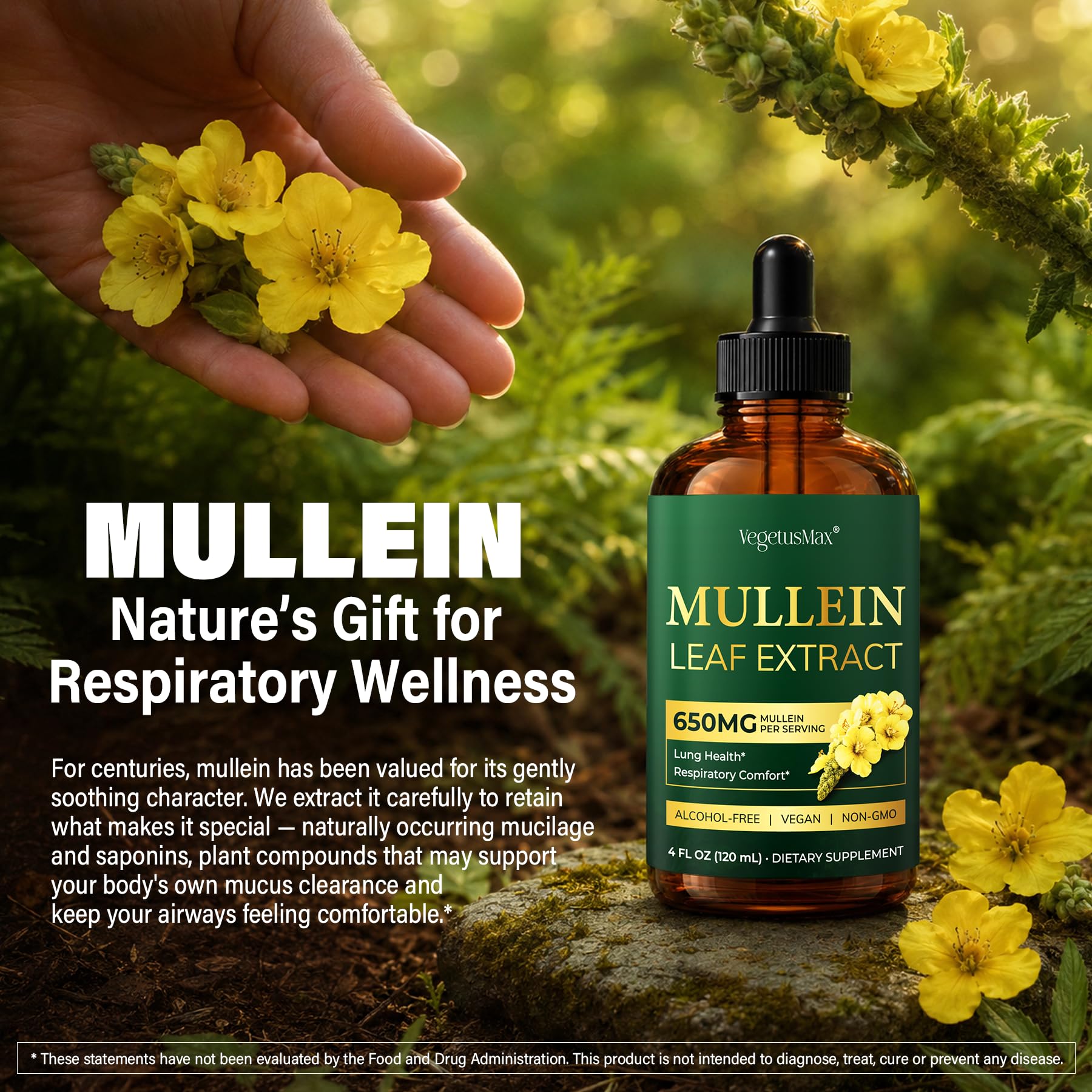 Mullein Drops for Lungs, 650mg Mullein Leaf Extract, Lung Detox & Cleanse — Amazon image 2