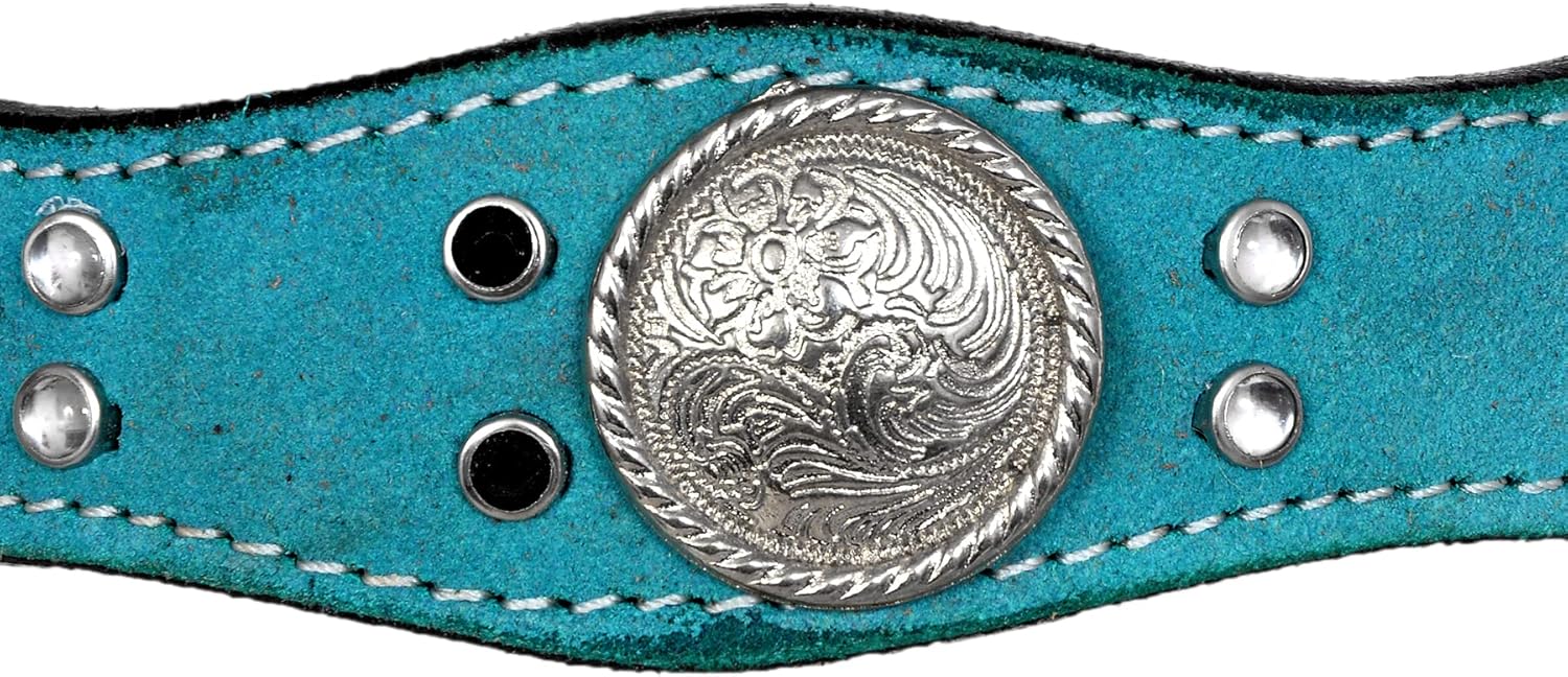 Leder Handwerk Western Headstall and Breast Collar Set with reins : Sports & Outdoors