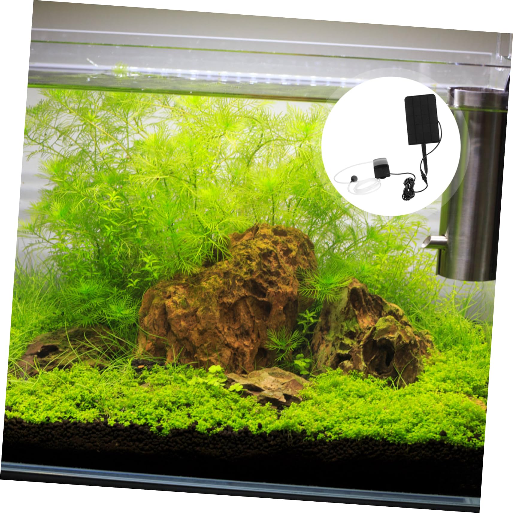 ibasenice 1.6w Pompe à Air Solaire pour Aquarium Oxygénateur Solaire Aérateur pour Aquarium Fonctionnement Silencieux Installation Facile
