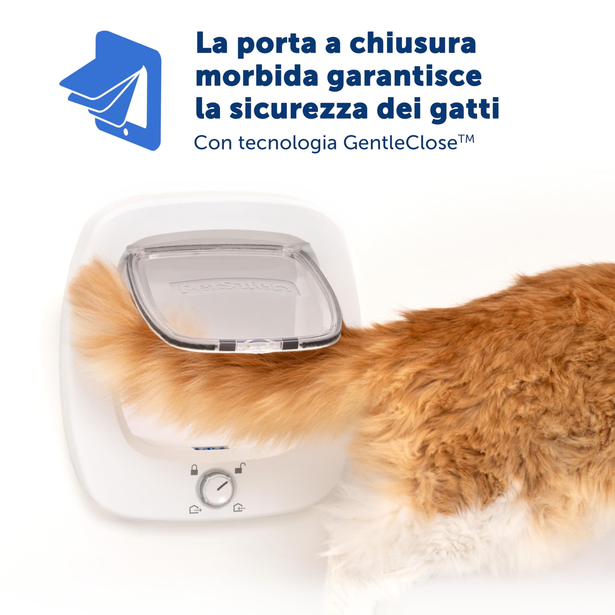 PetSafe - Gattaiola Big Cat - Porta per Animali Interna ed Esterna - Blocco a 4 Vie e Aletta a Chiusura Morbida - Per Gatti e Cani Piccoli