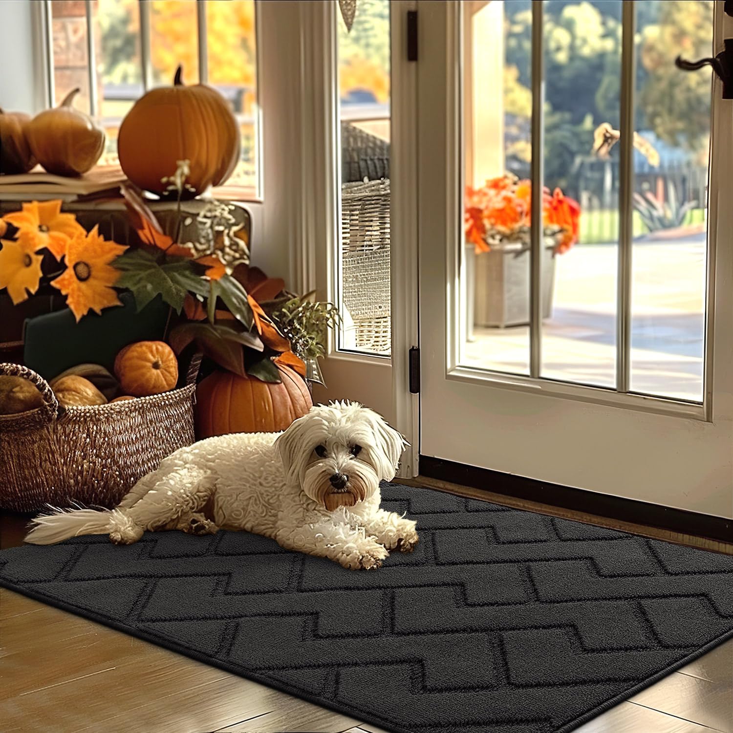hicorfe Indoor Door Mat,Non Slip Door Mats,32"x48" Front Back Door Mat Rubber Backing,Absorbent Resist Dirt Entrance Inside Floor Mats for Entryway Washable Low-Profile(Charcoal) โ image 1