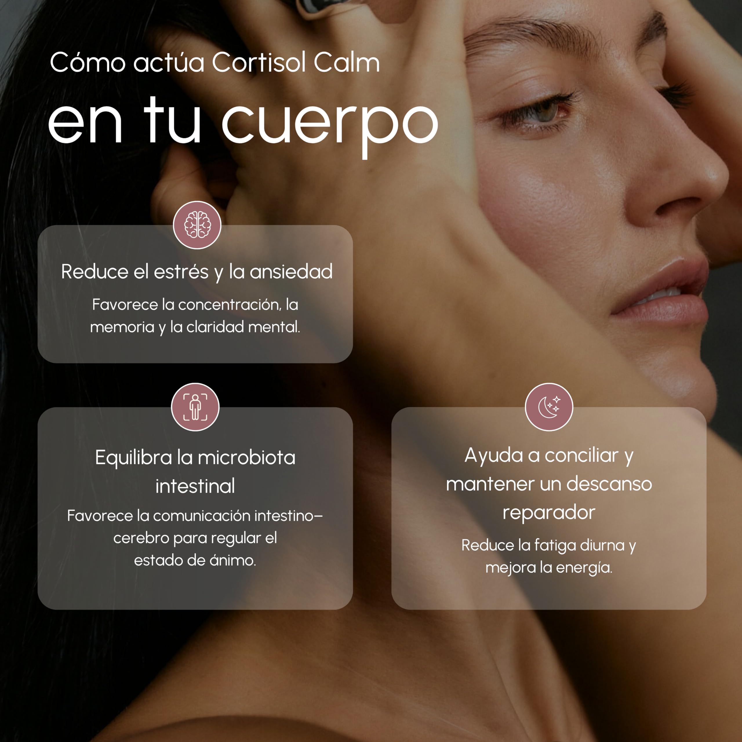 Cortisol Calm Ansiedad, Estres, Niebla Mental - Ashwagandha KSM-66 15:1, Magnesio Bisglicinato, Bacopa Monnieri, Reishi, Vitamina B6 y B12 y Probioticos - Nootropico Relajante Natural 60u