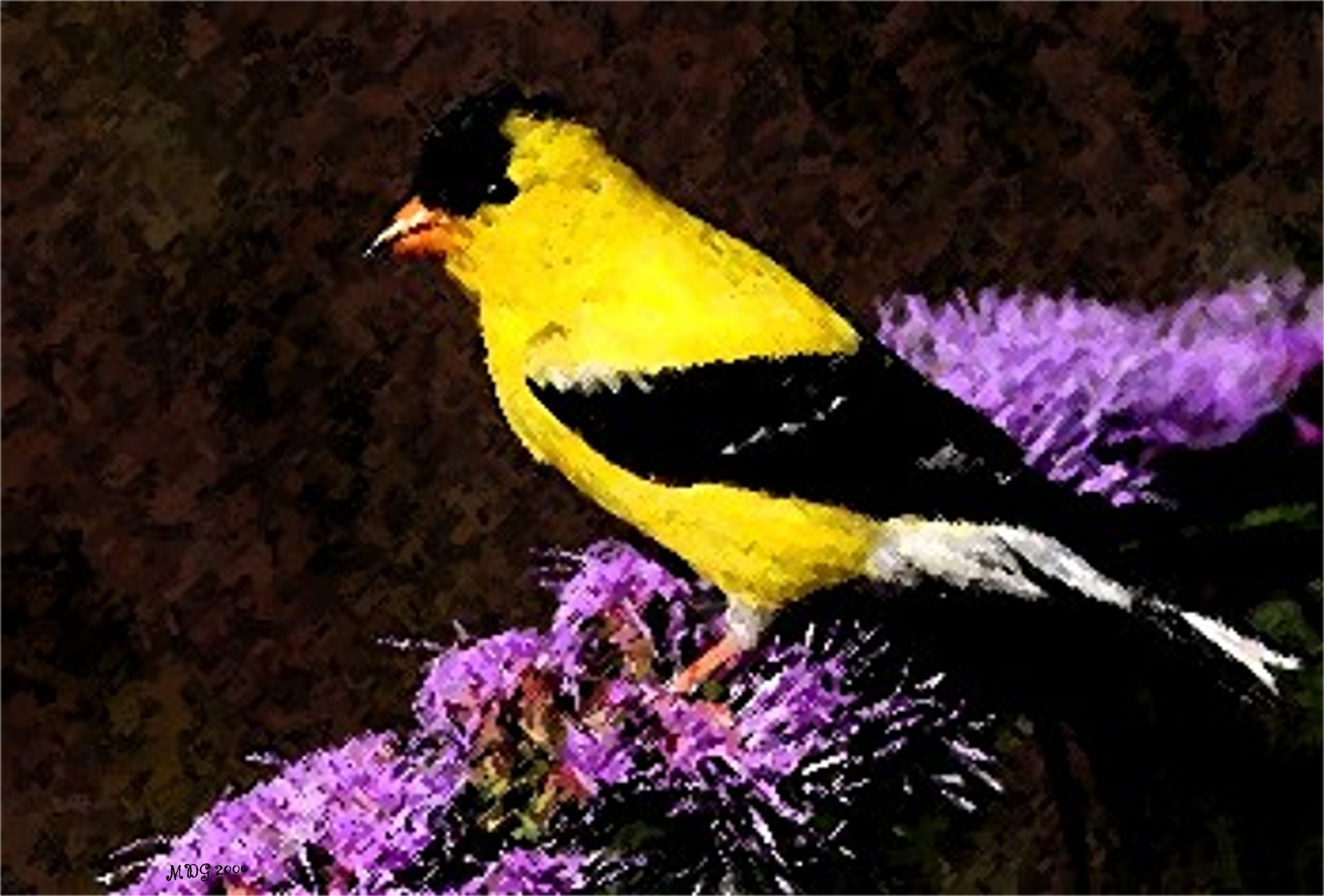 Olde Time Mercantile Goldfinch Bird Portrait Matted Art Print - 5 in x 7 in Design - 8 in x 10 in Matted