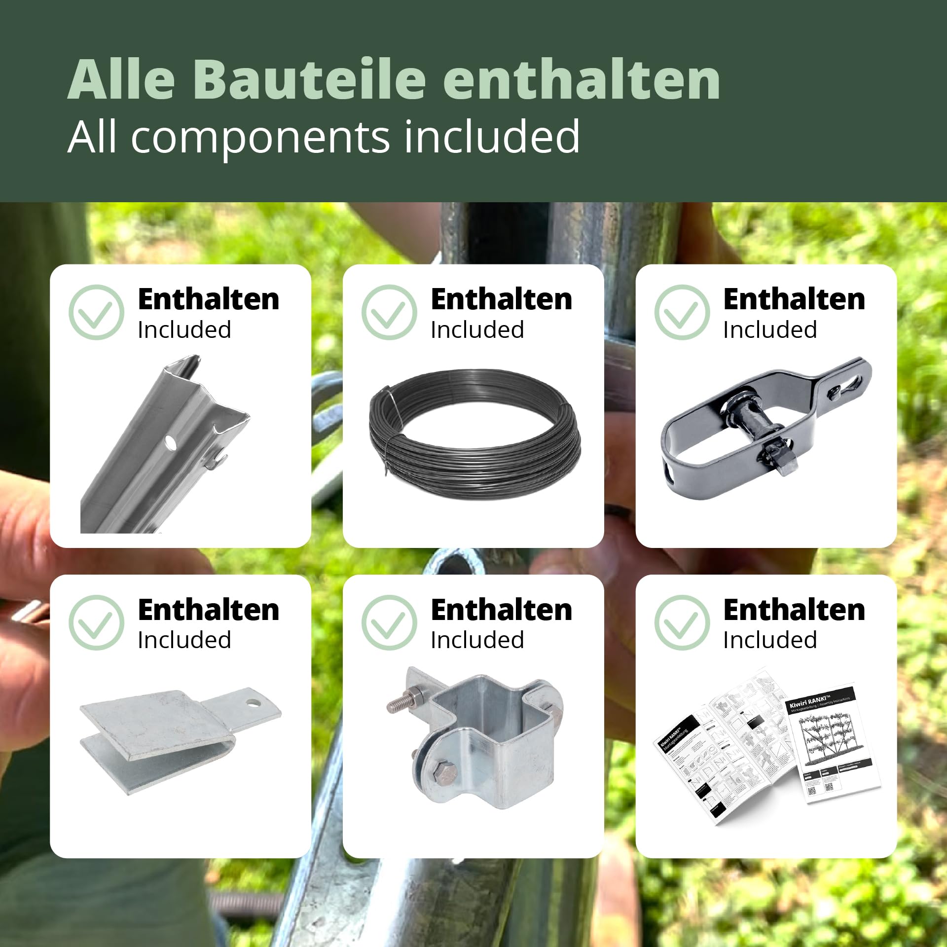 RANKI ™ - Rankhilfe für Kletterpflanzen - Spalier auf Plantagenstandard für Wein, Kiwi, Kiwibeeren, Rosen, Clematis, Spalierobst (1-Feld (2,5 Meter))