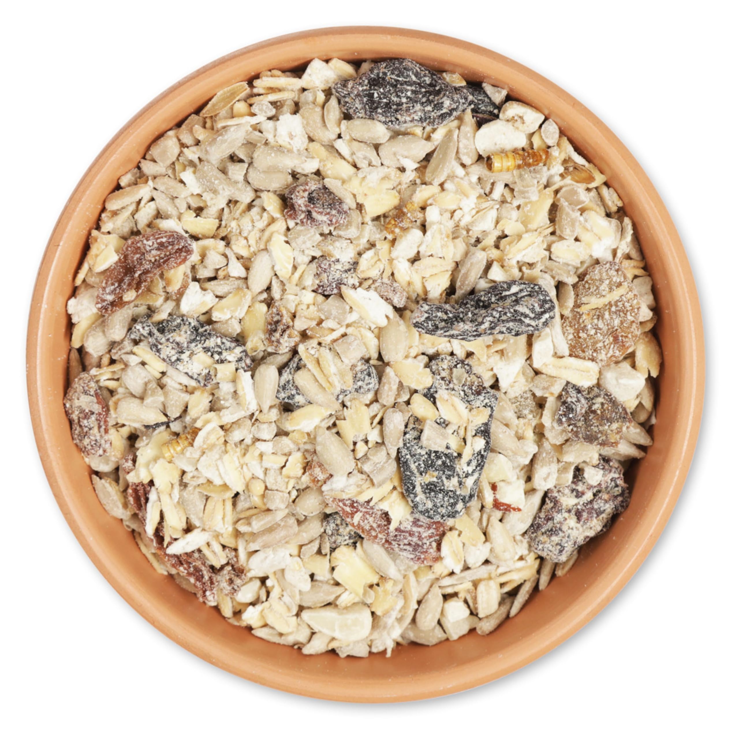 CJ Wildlife Rotkehlchen Vogelfutter 10kg – Wildvogelfutter ganzjährig – Hafer, Sonnenblumenkerne, Mehlwürmer – Proteinreich – Für Gartenvögel
