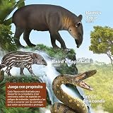 Ver la foto 3