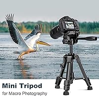 Vista 7 de JOILCAN Mini Tripod for Camera, 25" Tabletop Camera Tripod, Portable Travel Tripod with Phone/Tablet Holder, Lightweight Aluminum Tripods for DSLR