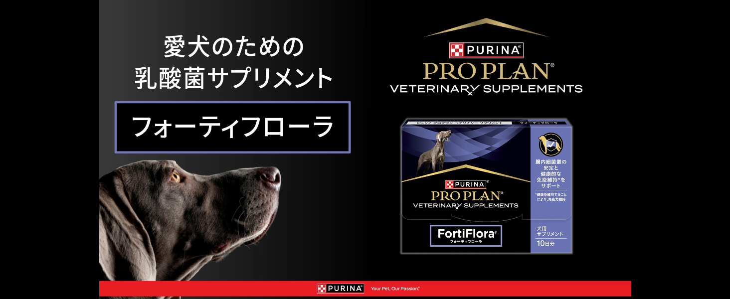 ピュリナ　プロプラン　犬用　乳酸菌サプリメント　フォーティフローラ Amazon | ピュリナ プロプラン 犬用 乳酸菌サプリメント フォーティ