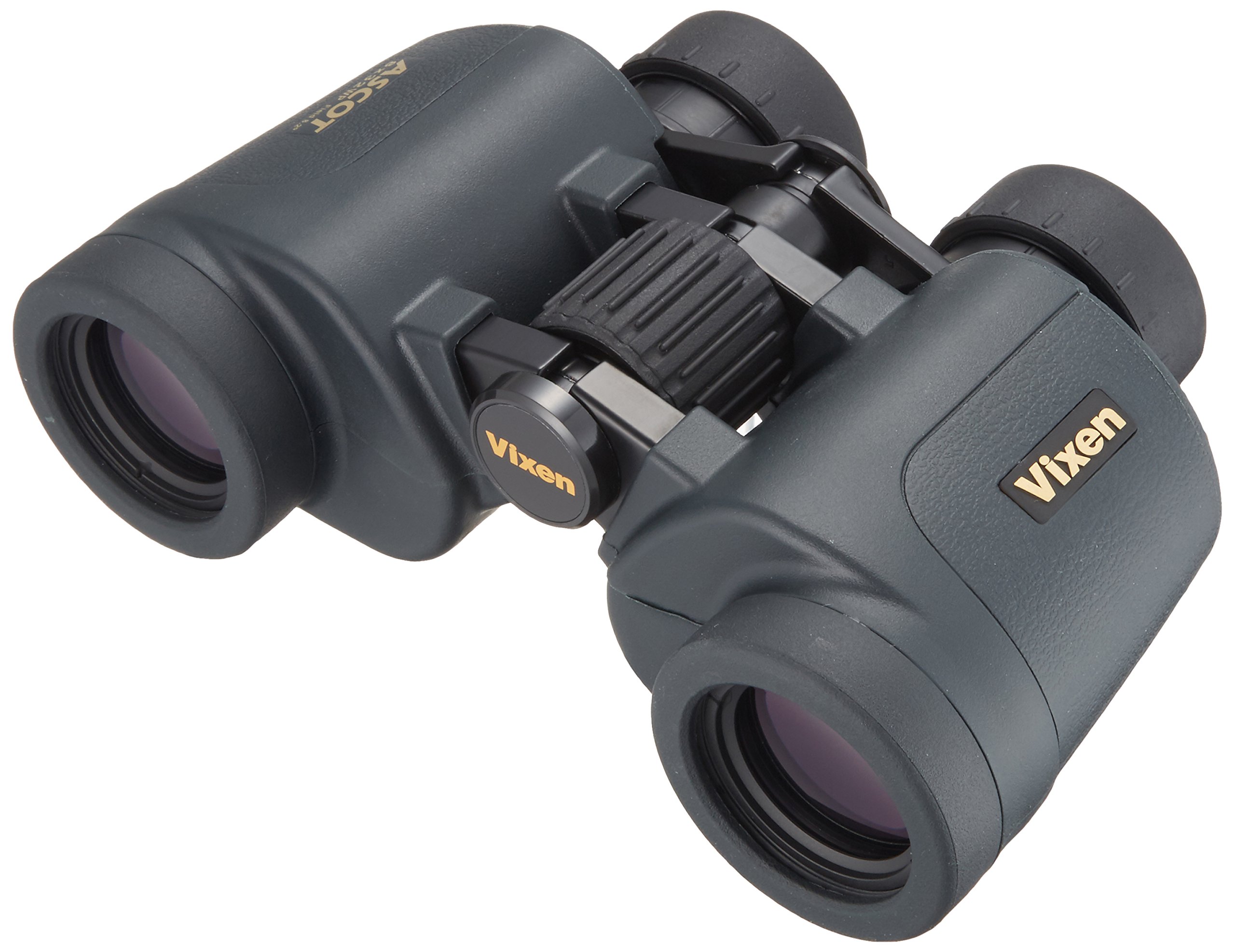Amazon | ビクセン(Vixen) 双眼鏡 8倍 アスコットZR 8×32WP(W) ポロ 