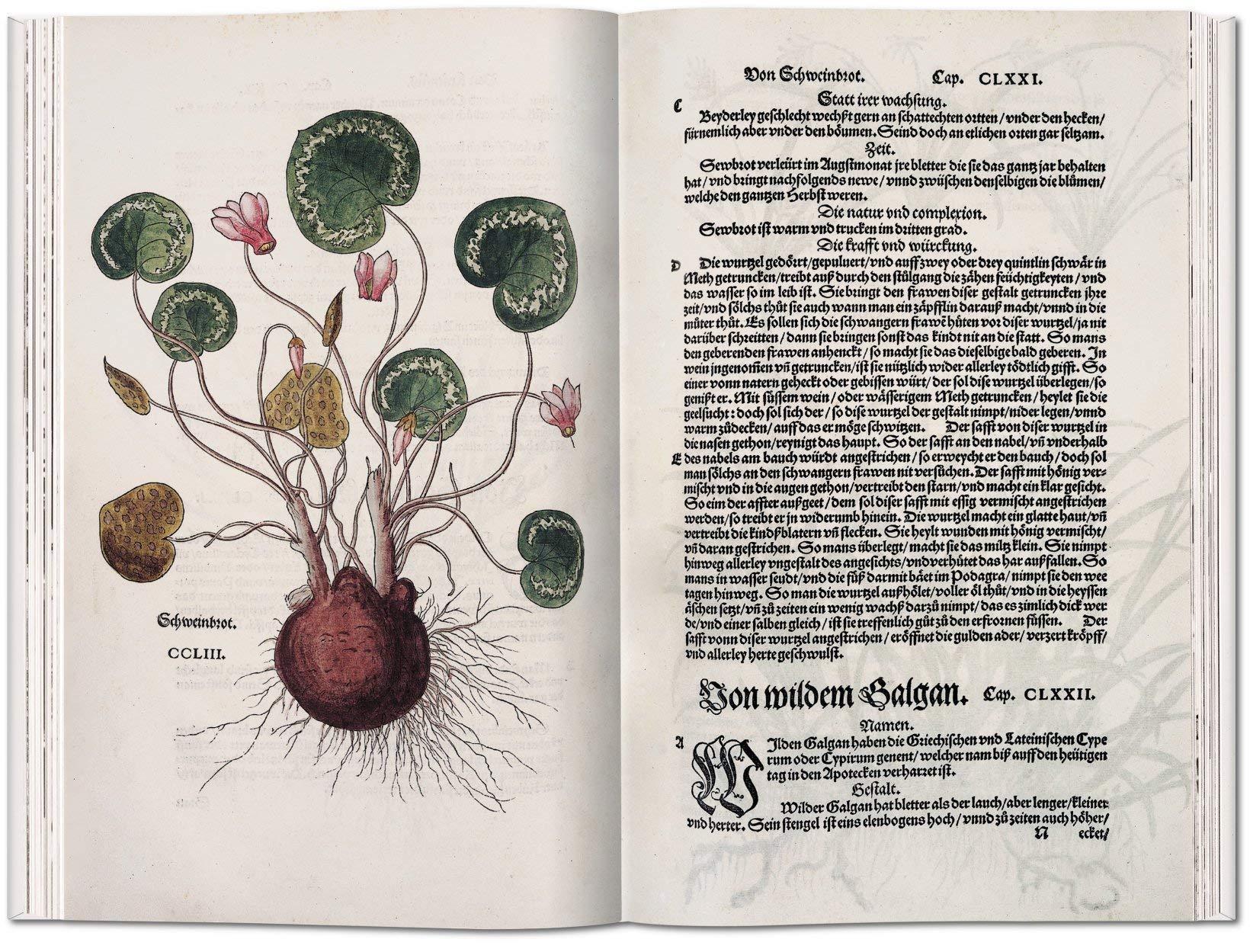 Leonhart Fuchs. Das Kräuterbuch von 1543