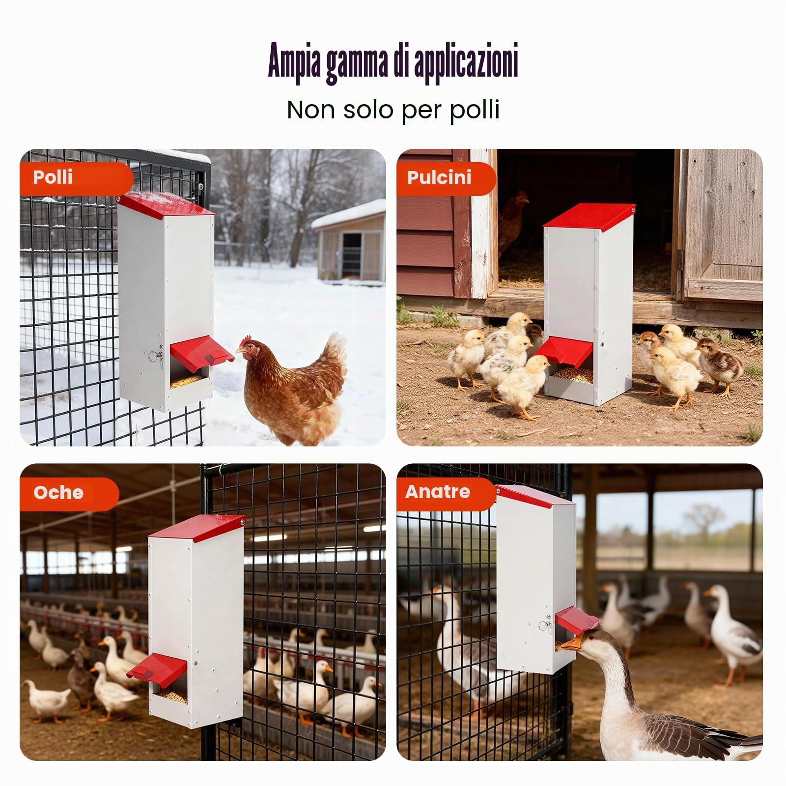3kg Mangiatoia Automatica per Pollame Senza Sprechi Mangiatoia Galline Automatica in Acciaio Inox Esterni Alimentatore Automatico per Polli Anatre Pollame