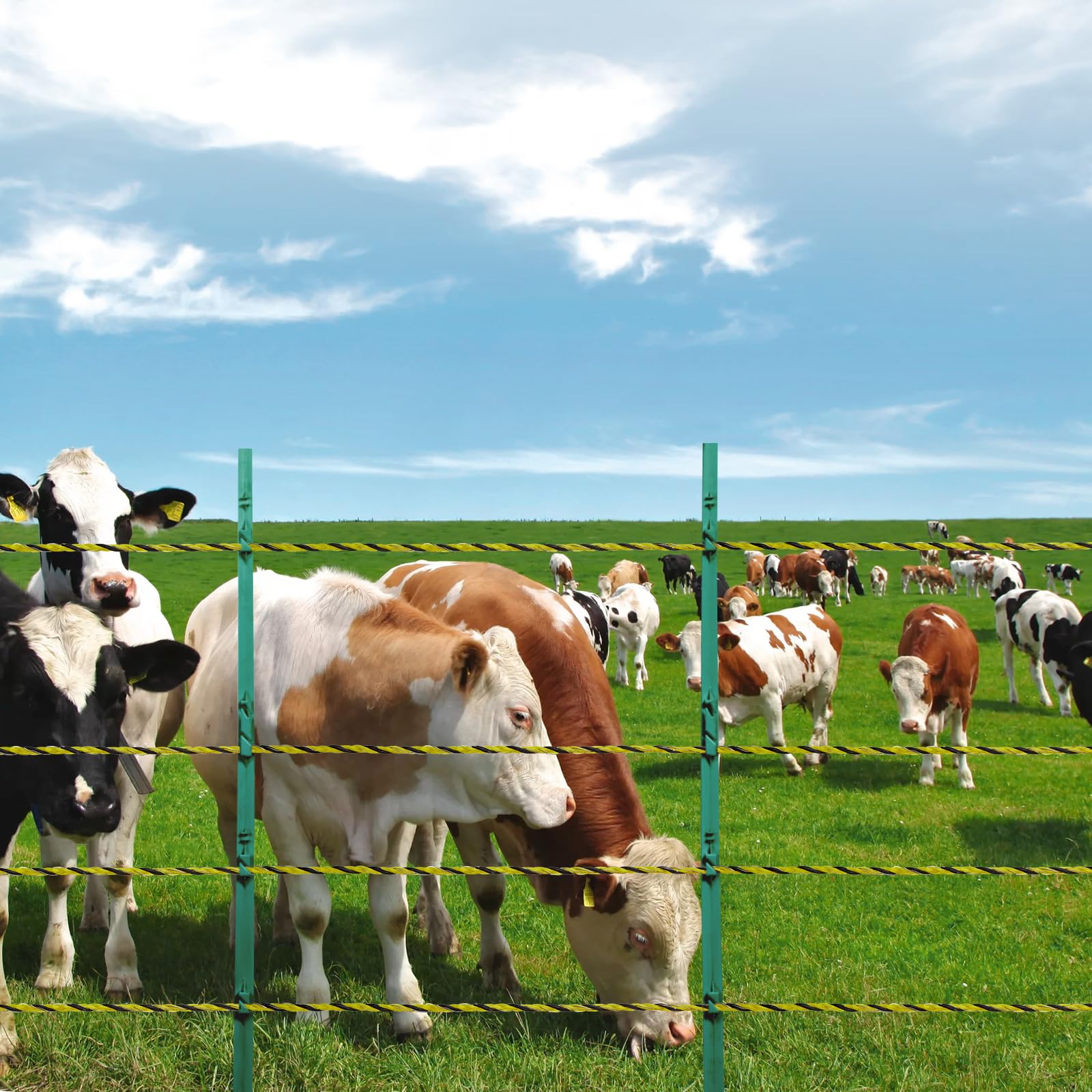 VEVOR Alambre para Cerca Eléctrica de Energía Solar, 1026 m Alambre de Polietileno Portátil de 6 Hebras de Acero Inoxidable de 3,175 mm de Diámetro Línea de Cuerda para Cercas para Ganado, Caballos