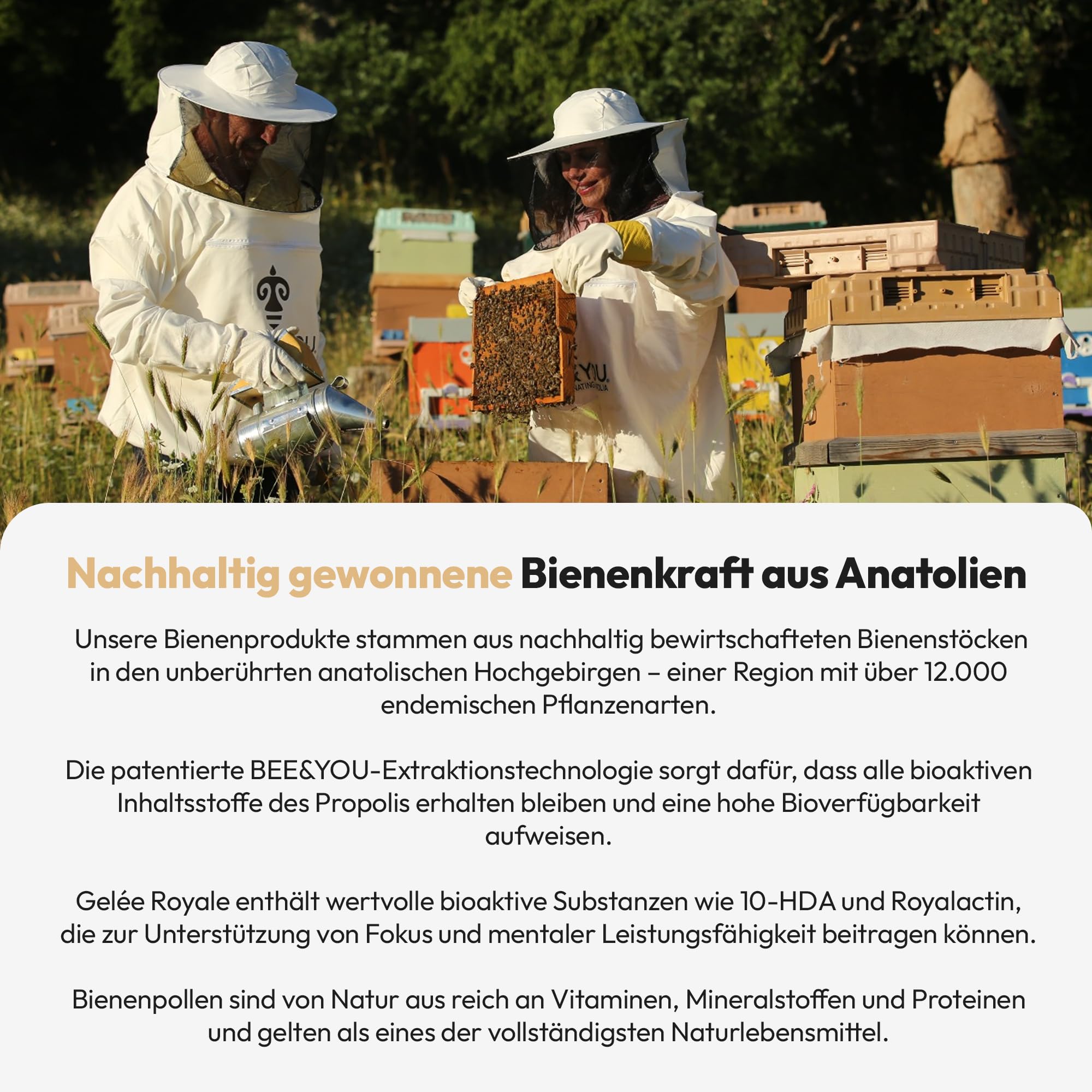 Bee&You Propolis,Gelée Royale,Blütenpollen Tabletten 500mg (60 Tabletten,Keine Zusatzstoffe,Fairer Handel,100% natürlich,ohne Zusatzsstoffe,hochdosiert, Schutzharz der Bienen,Kapseln,lange haltbar)