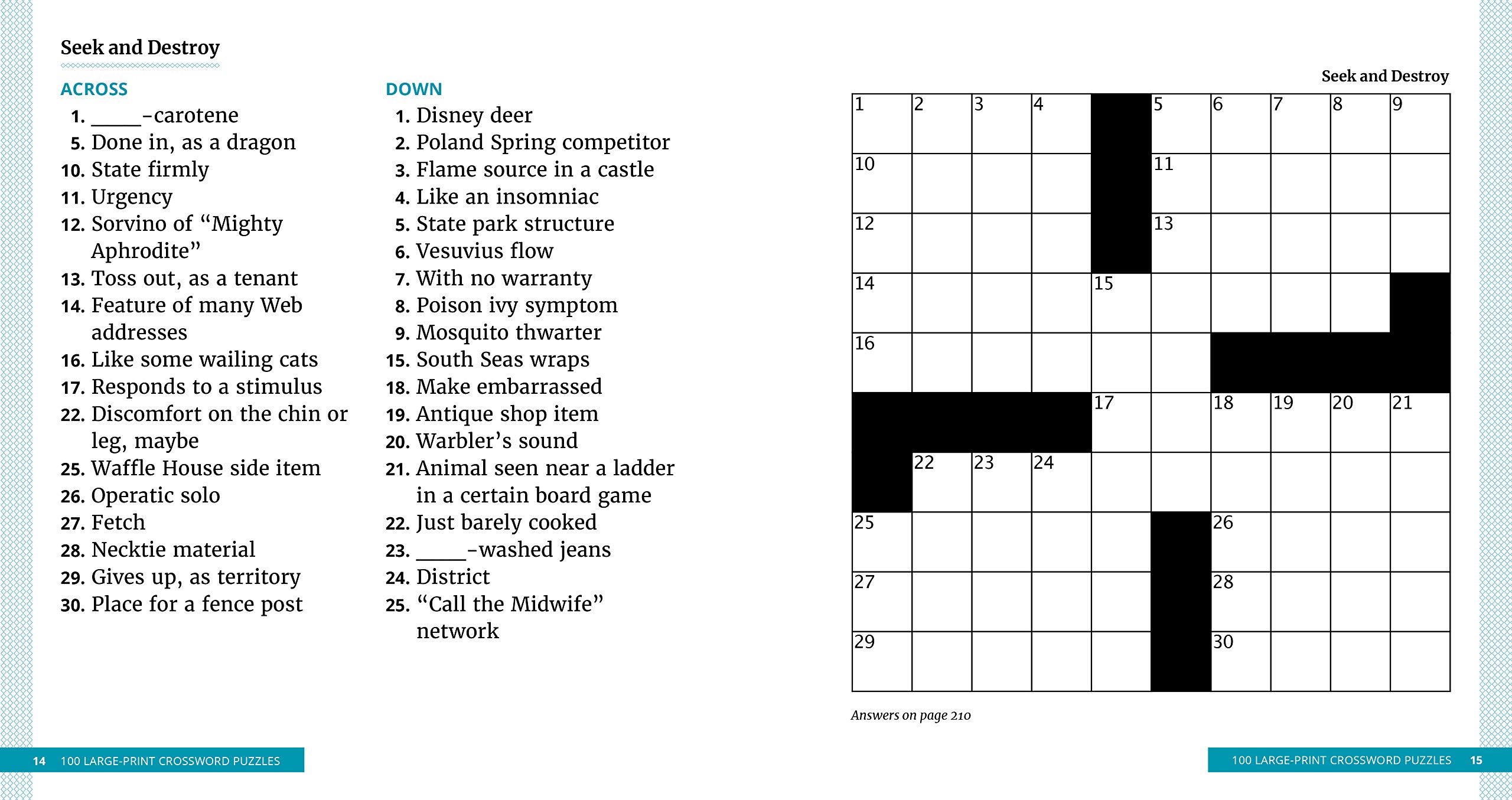 100 Large-Print Crossword Puzzles: Easy Puzzles to Entertain Your Brain:  Amazon.co.uk: King, Chris: 9781646116096: Books