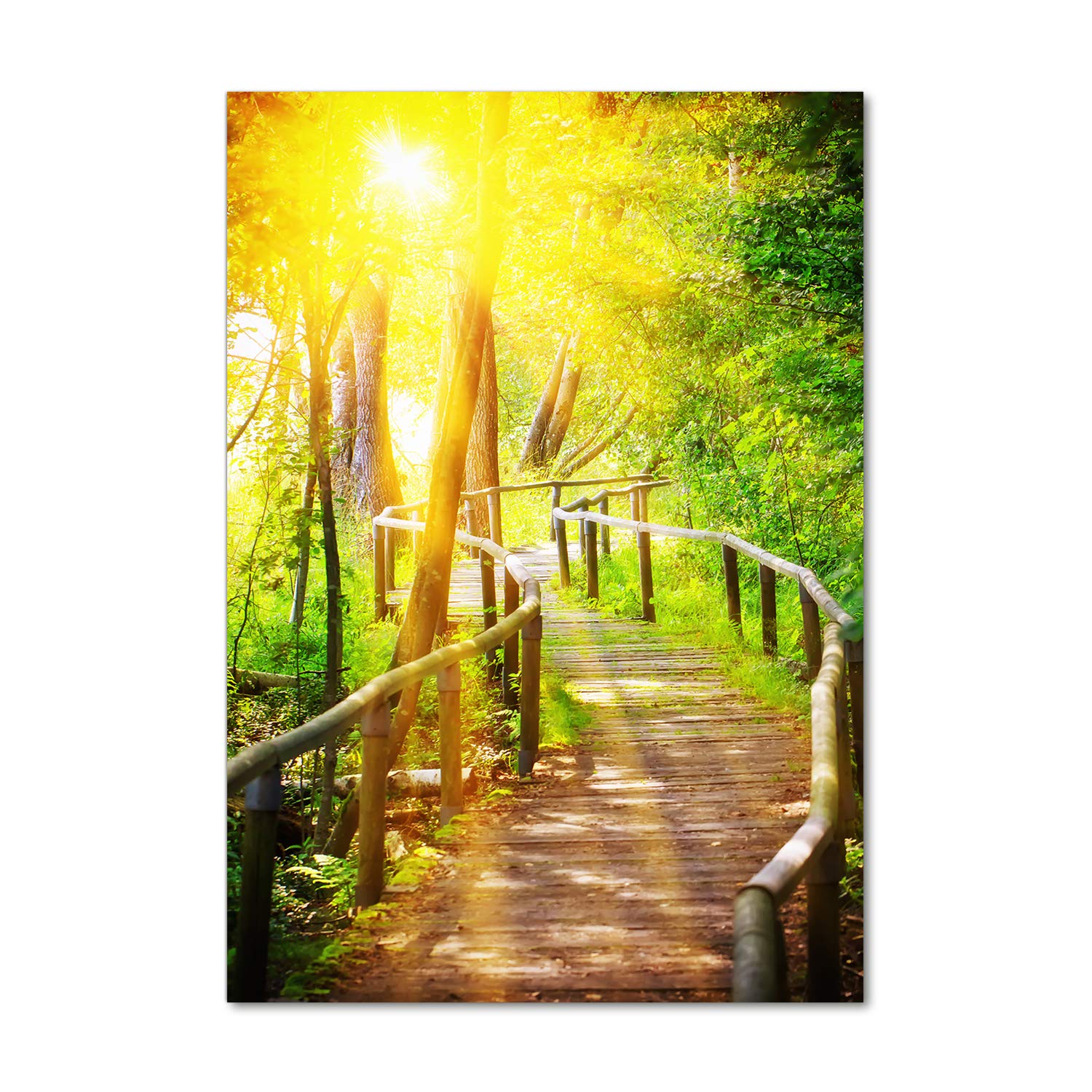 Impression sur verre acrylique Tulup 70x100 cm tableau forêt jaune décor mural