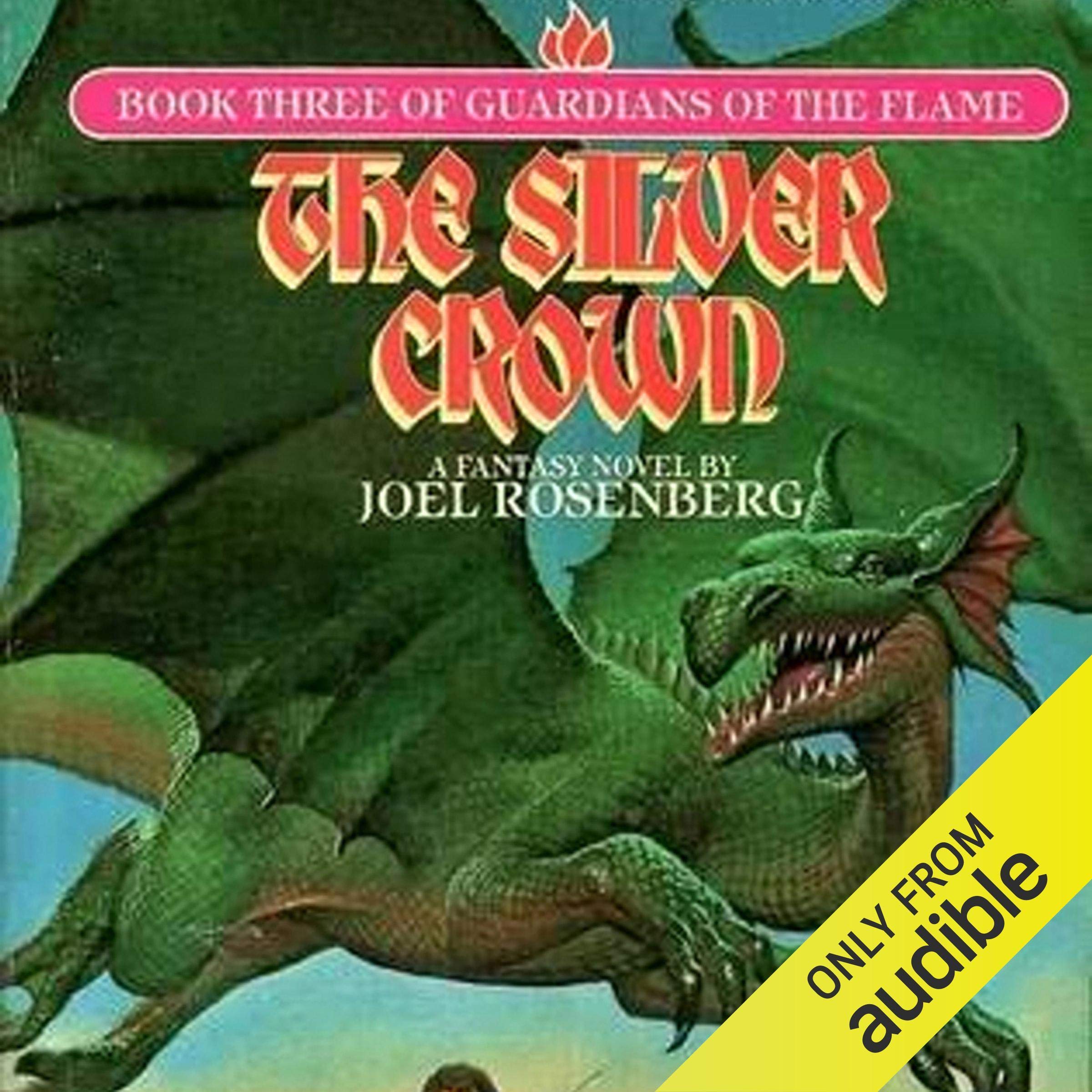 Book cover for The Silver Crown