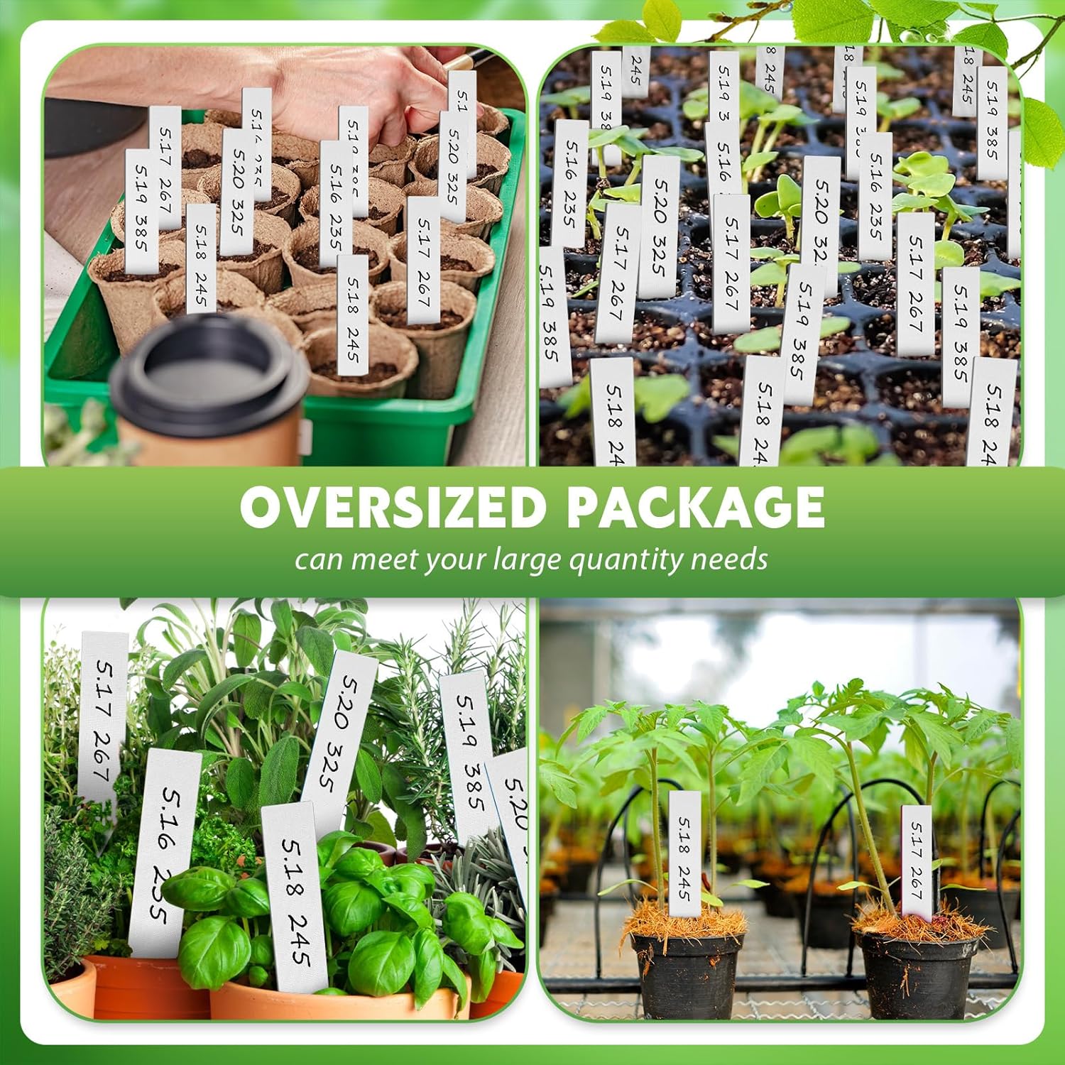 Geetery 2000 Pcs Plastic Plant Labels 4'' Garden Plant Markers Nursery Name Tags Waterproof Pot Label Stakes Planting Sticks for Seeds Summer Outdoor Indoor Garden Flowers(White)