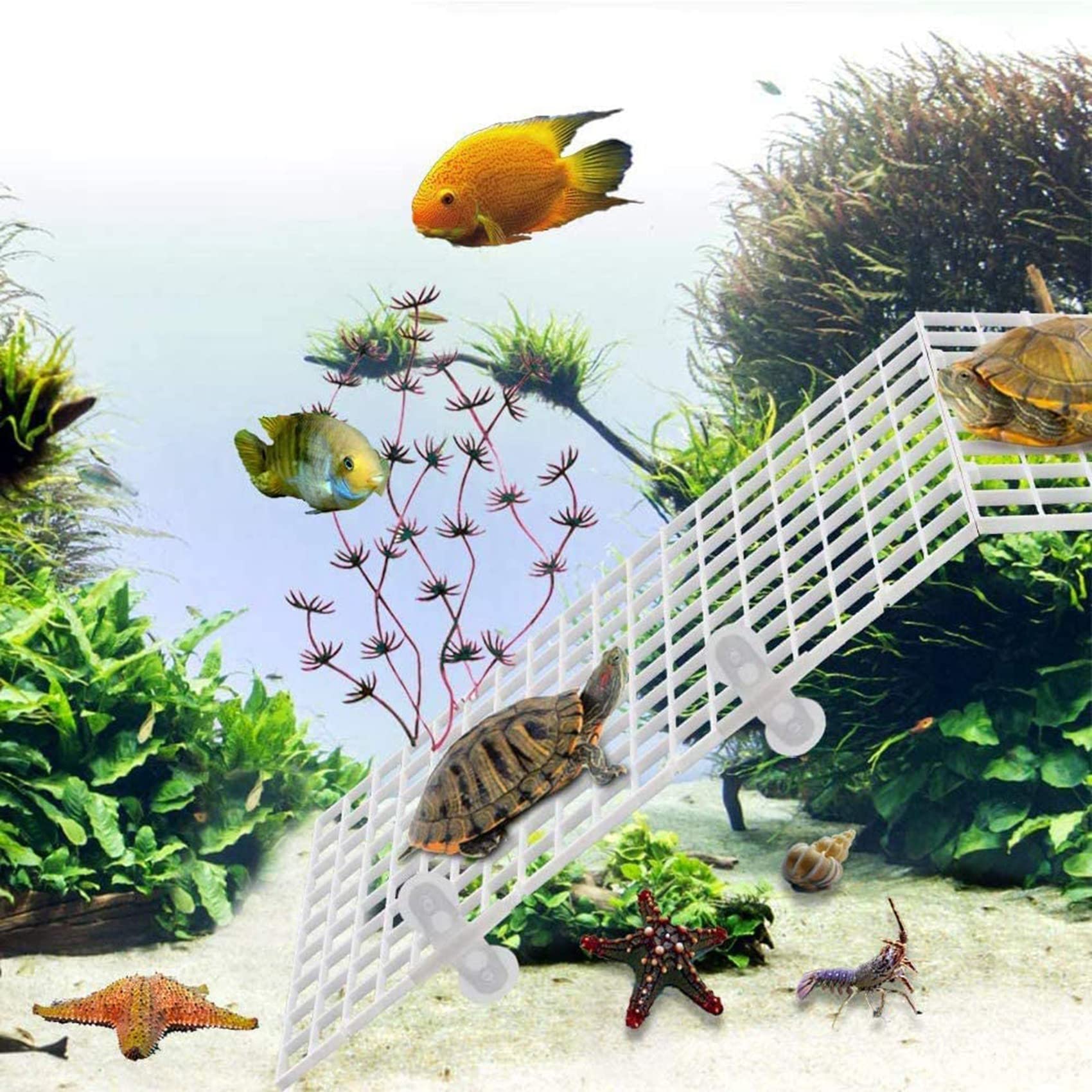 10 pezzi divisori per acquario, divisori per acquario, griglia separata, vassoio isolante, griglia con 20 ventose