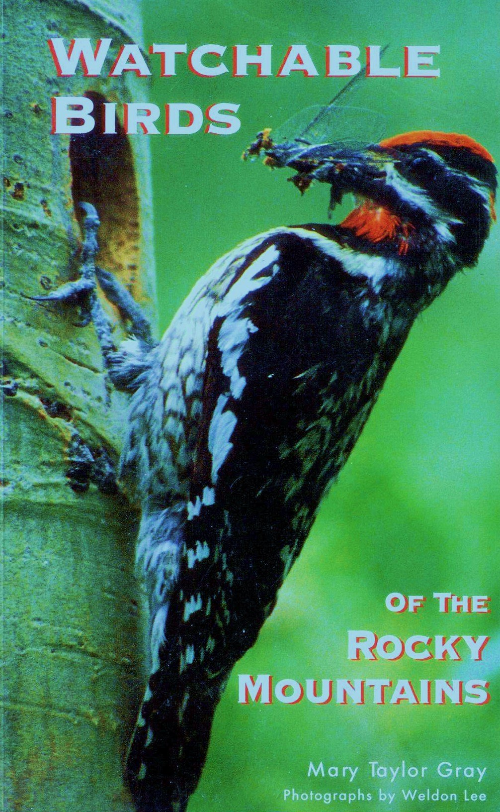 Watchable Birds of the Rocky Mountains