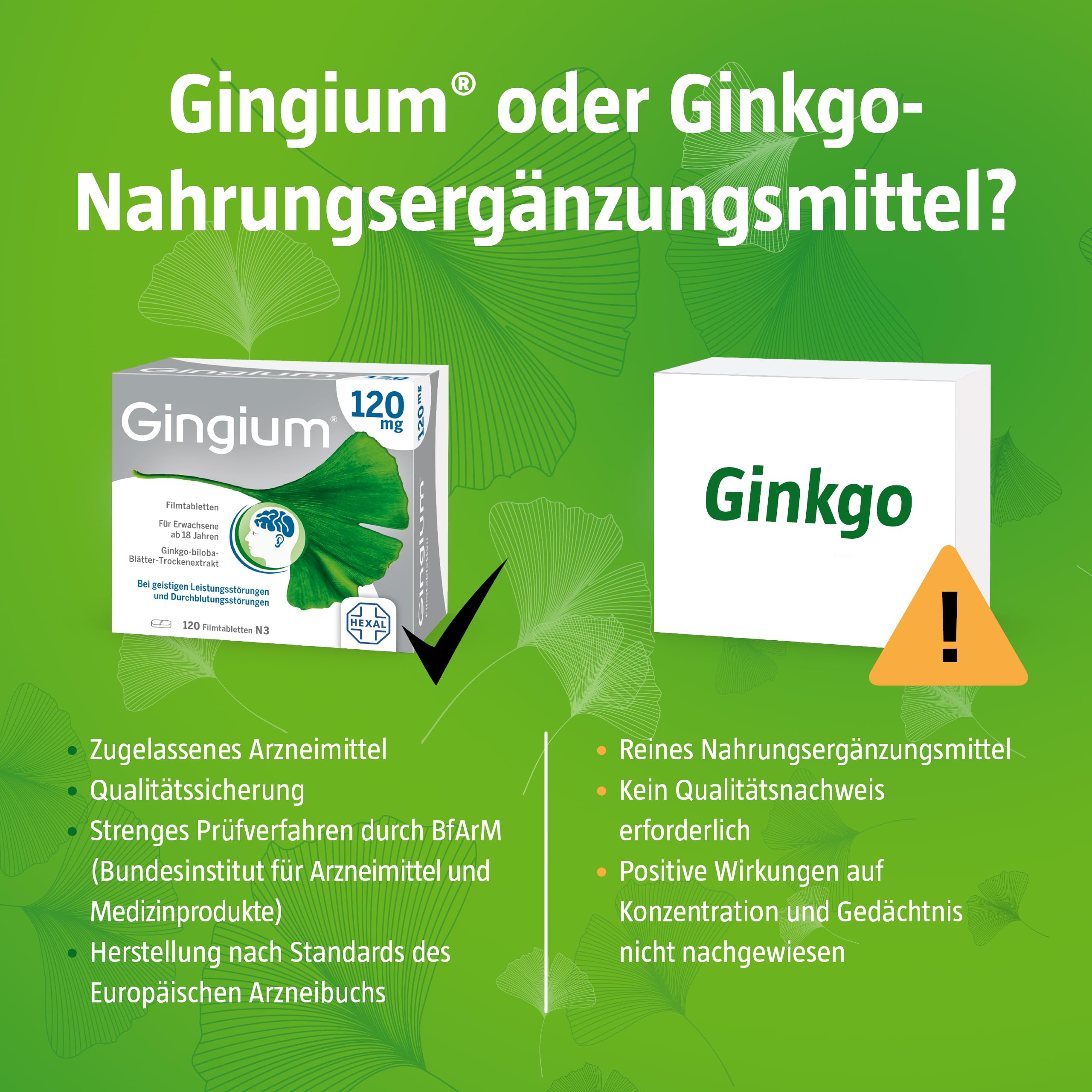 Gingium® 240 mg | Filmtabletten | Bei Vergesslichkeit* handeln | 120 Stk | Pflanzenkraft von Ginkgo biloba, ab 18 J. anwendbar | *bei nachlassender geistiger Leistungsfähigkeit (dementielles Syndrom)