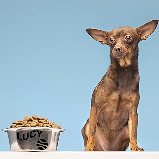 Ball Picture Dog Bowl Decal with Personal Sign - Custom Dog Name Inscription and Ball Picture Decal - Puppy Name Sticker with Ball Picture for Bowl