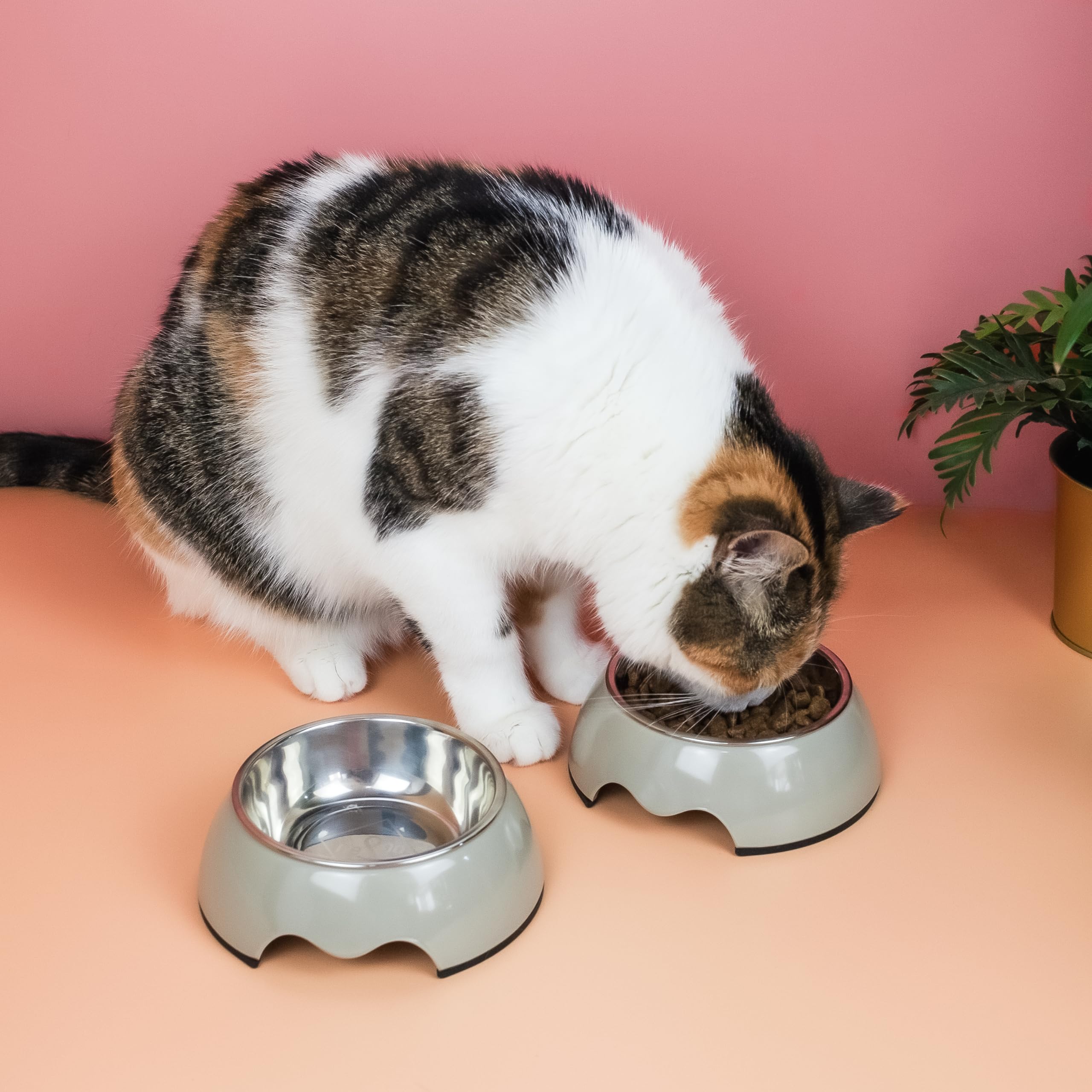 Ciotole Doppie Per Cani E Gatti - Antiscivolo, Acciaio Inox, Verde, Taglia Piccola (170 Ml)