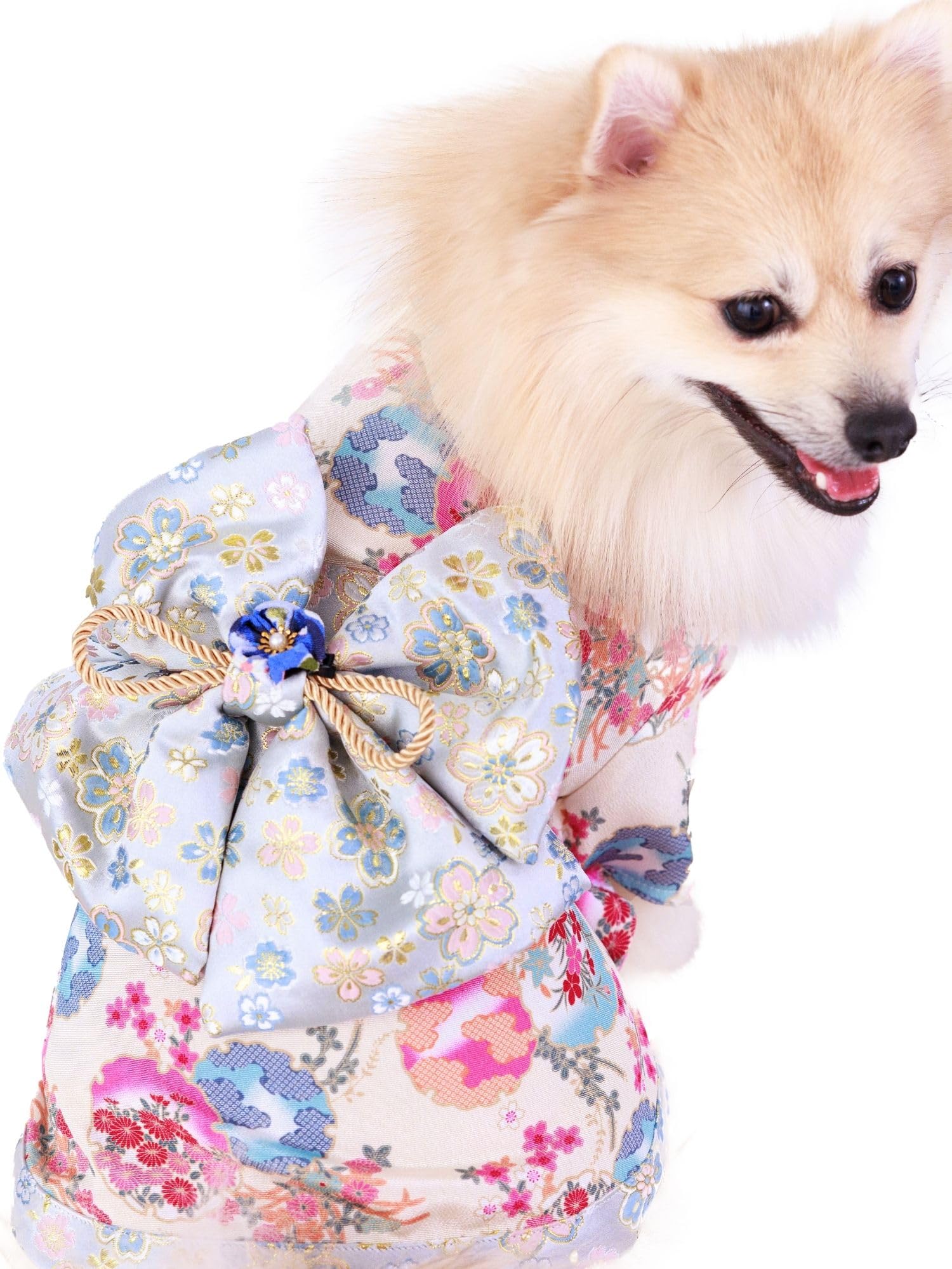 Amazon.co.jp: ONEKOSAMA: 全て