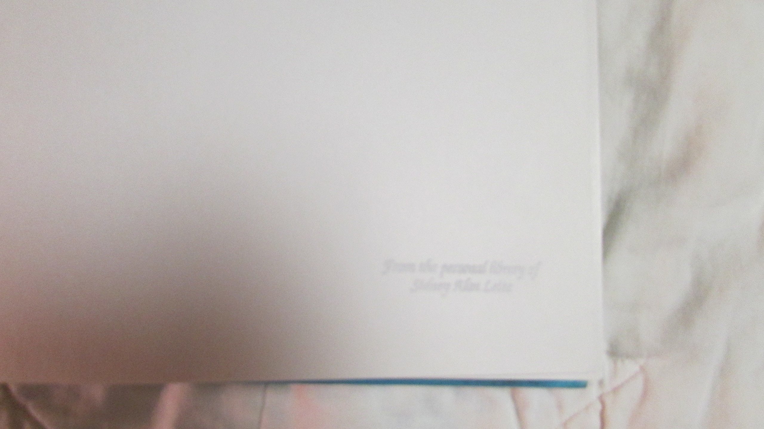 Storm from the East: From Genghis Khan to Khubilai Khan - Image 4