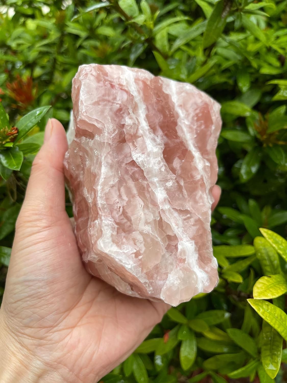 GAF TREASURES Extra Large Strawberry Calcite Rough Natural Stones, Raw Calcite Strawberry Crystals (0.25-0.5 Pounds)