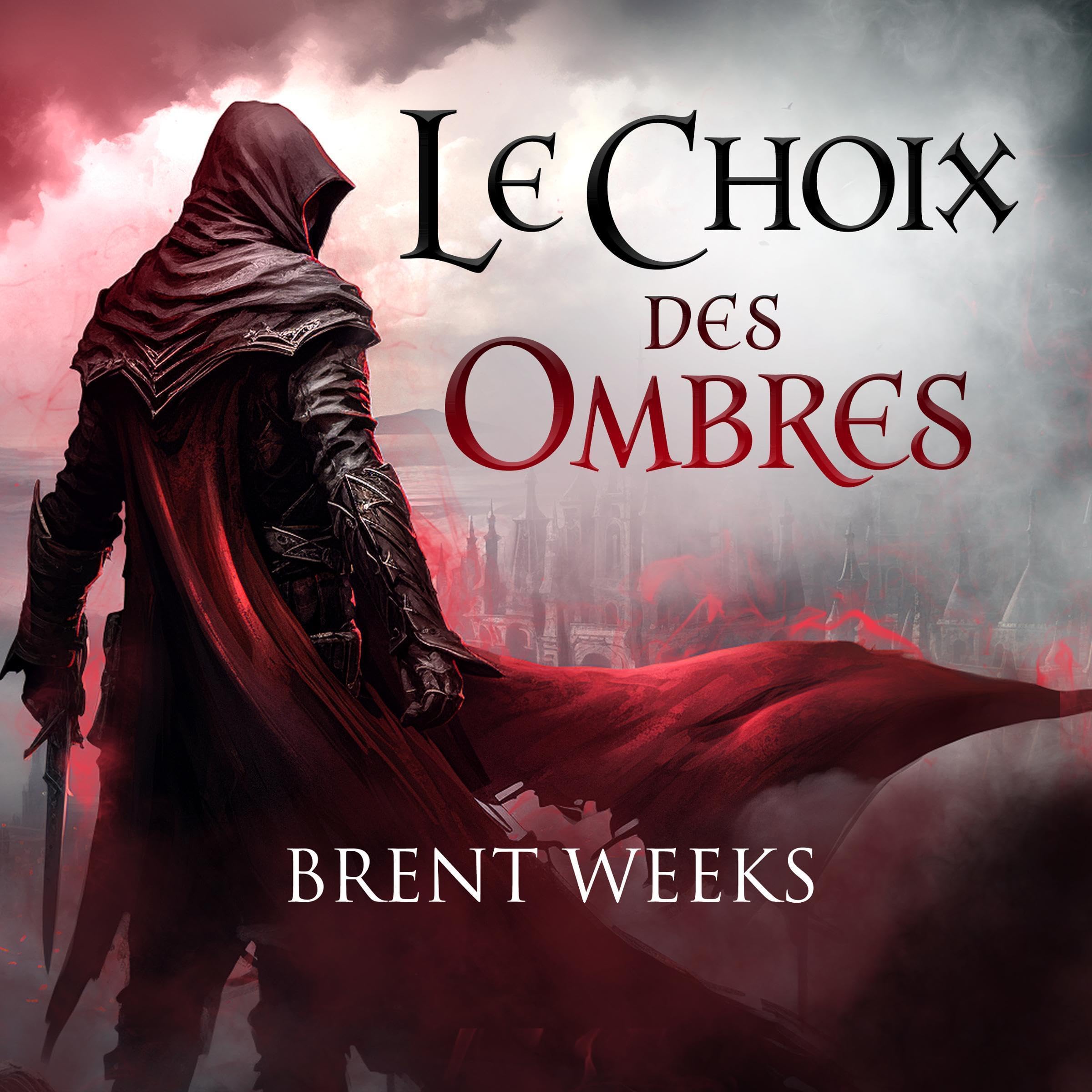 Cover art for Le Choix des ombres [Shadow's Edge]