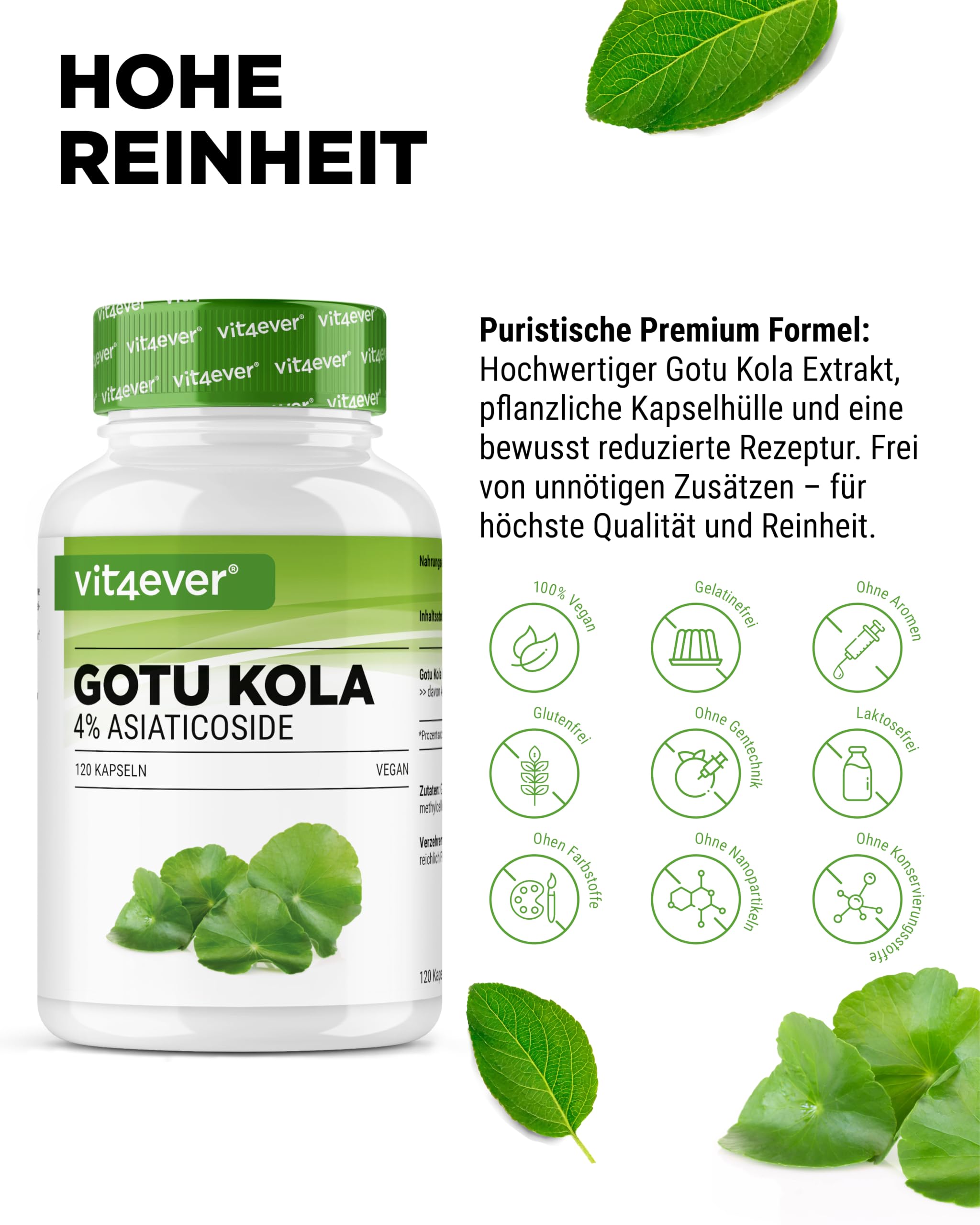 vit4ever Gotu Kola Extrakt - 120 vegane Kapseln | 1500 mg Centella asiatica Extrakt pro Tagesdosis, Standardisiert auf 4% Asiaticoside, Laborgeprüft, Hochdosiert