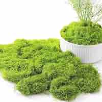 Mousse Artificielle Déco 100g - Pour Plantes Fausses, Scènes Avent & DIY - Réutilisable
