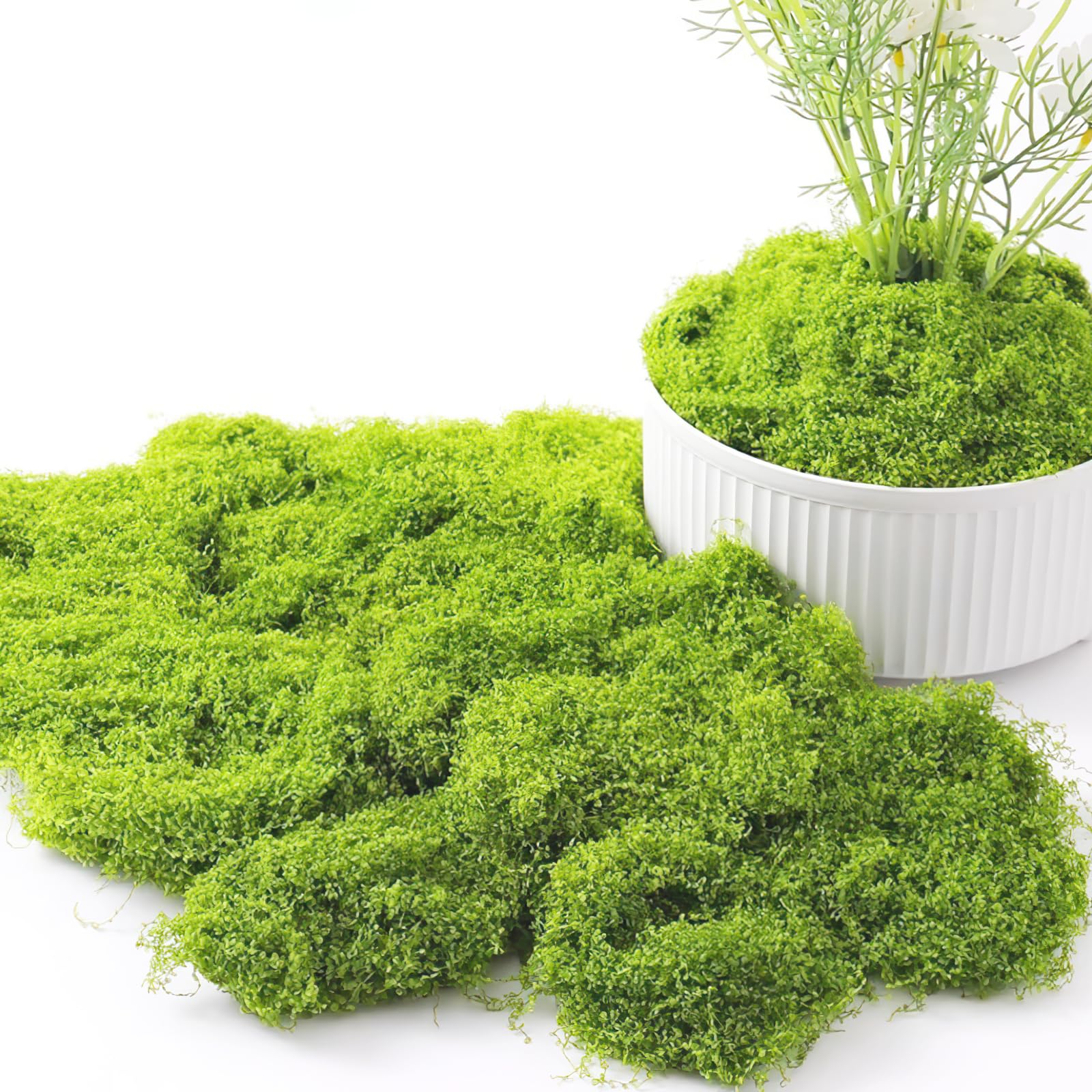 Lxoraziy 150g Artificial Moss for Plant Pots, Preserved Moss