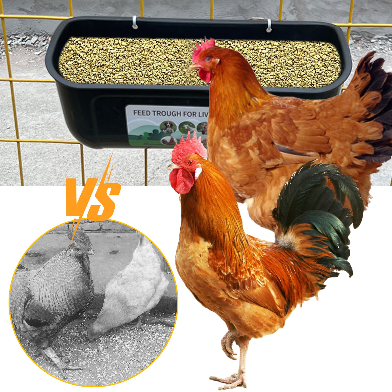 Neue große Hühnerfütterung, Zaun hängende Hühnerfütterung, große Kapazität Futtertrog Trog, Outdoor-Geflügel Futter und Wasser, Futter Hühner, Enten, Gänse, Hunde, Kühe und Schafe (4 Stück, Schwarz)