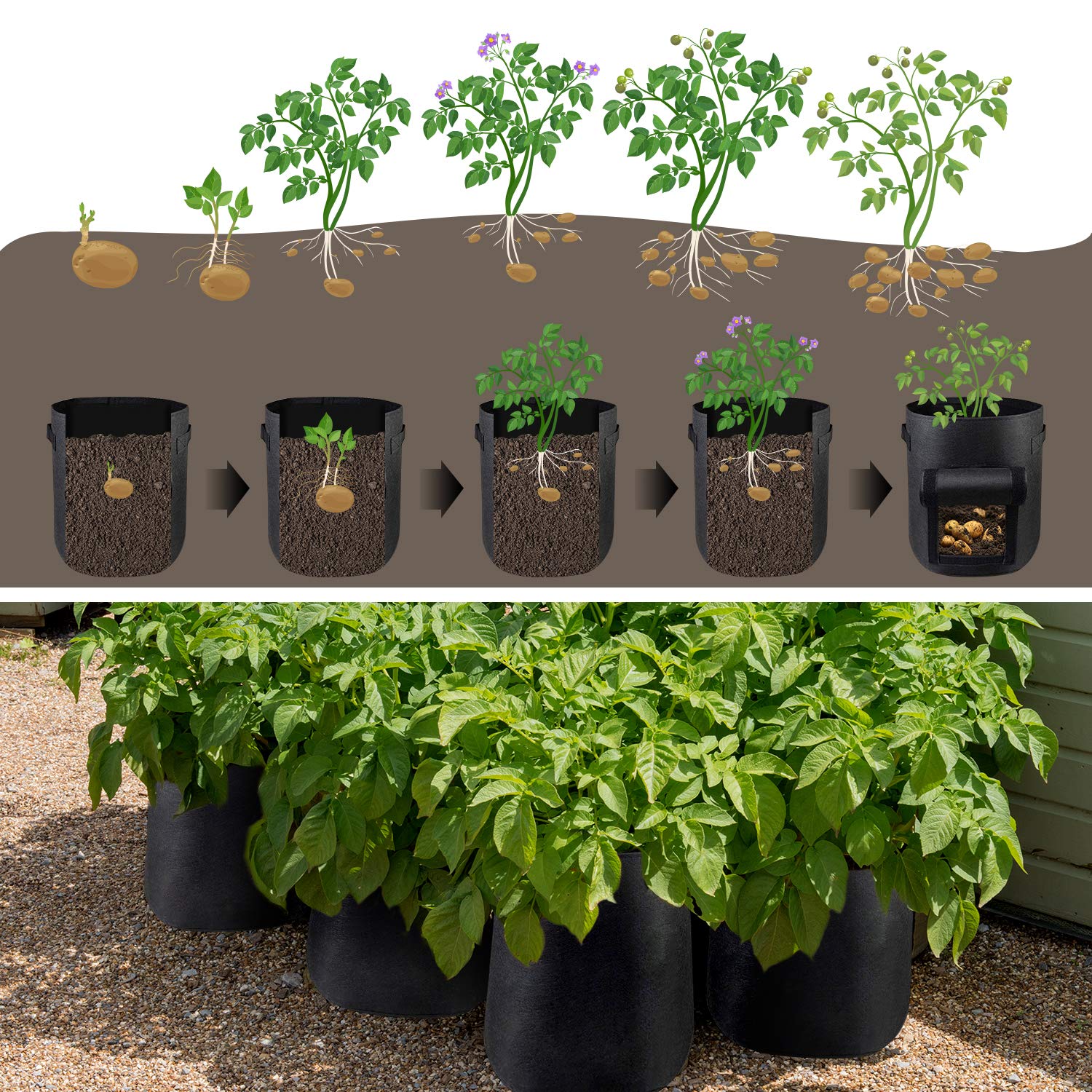 Bolsas de Cultivo de Papas, Paquete de 2 Bolsas de Cultivo de Tomates de 7 galones Macetas Bolsas de Plantas Bolsas de bandejas de Cultivo de Plantas con Ventana de Bucle y manijas de Correa