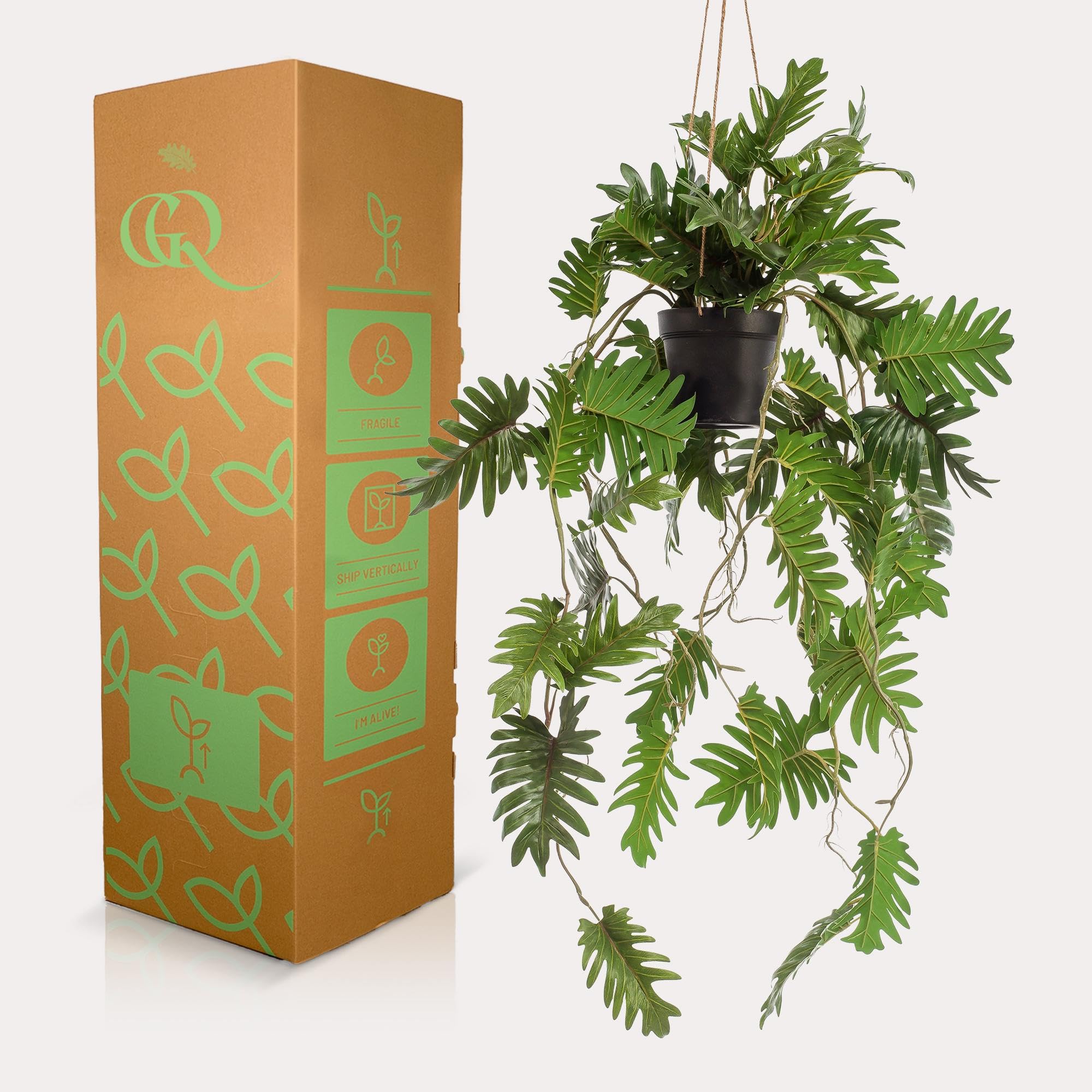 Pianta Artificiale Sospesa Philodendron, per Interno, Verde, 80 cm