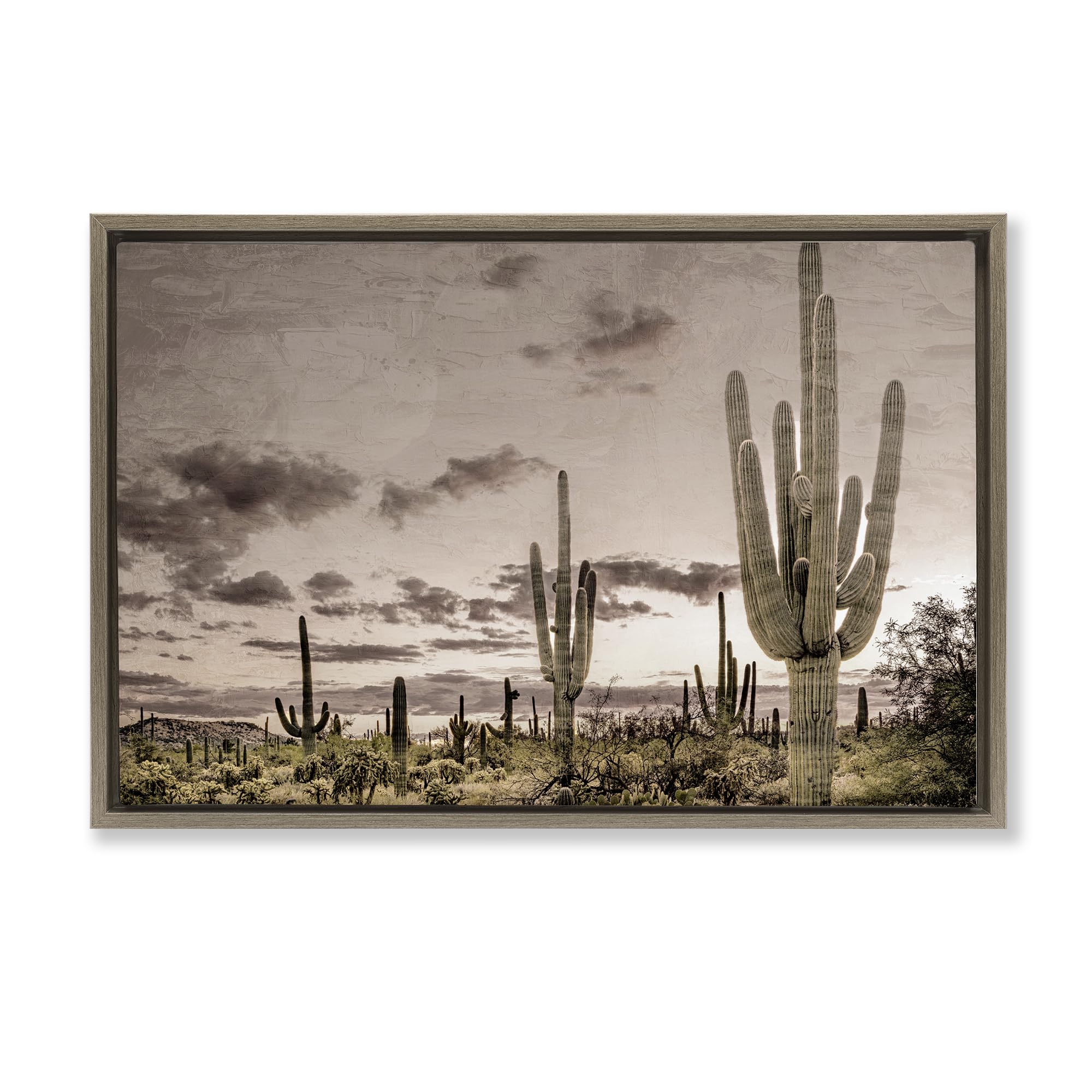 Desert Sky Cactus Wilderness, 16 x 24 Inch Canvas in Floater Frame