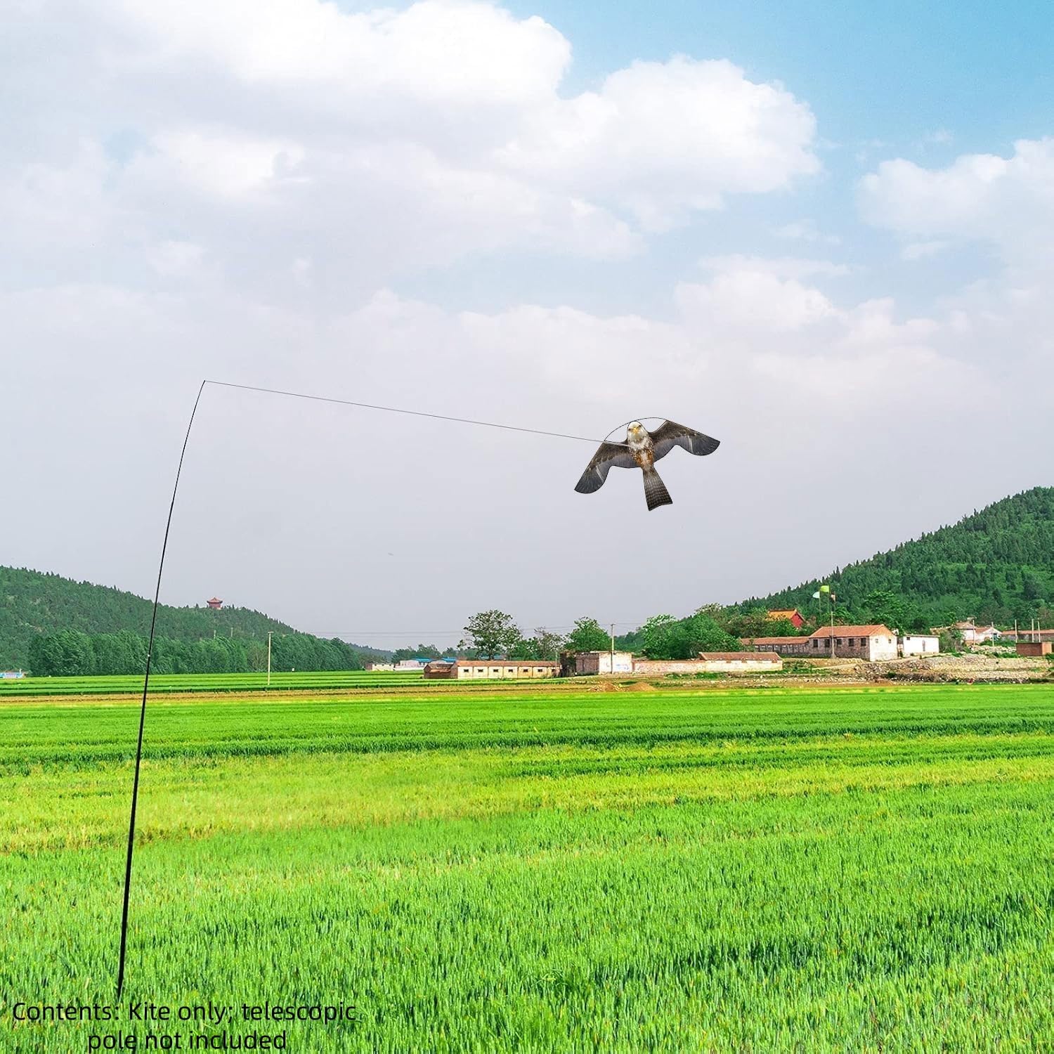 Oiseaux Faucon Volant Cerf-volant avec perche Effrayeur de pigeons professionnel