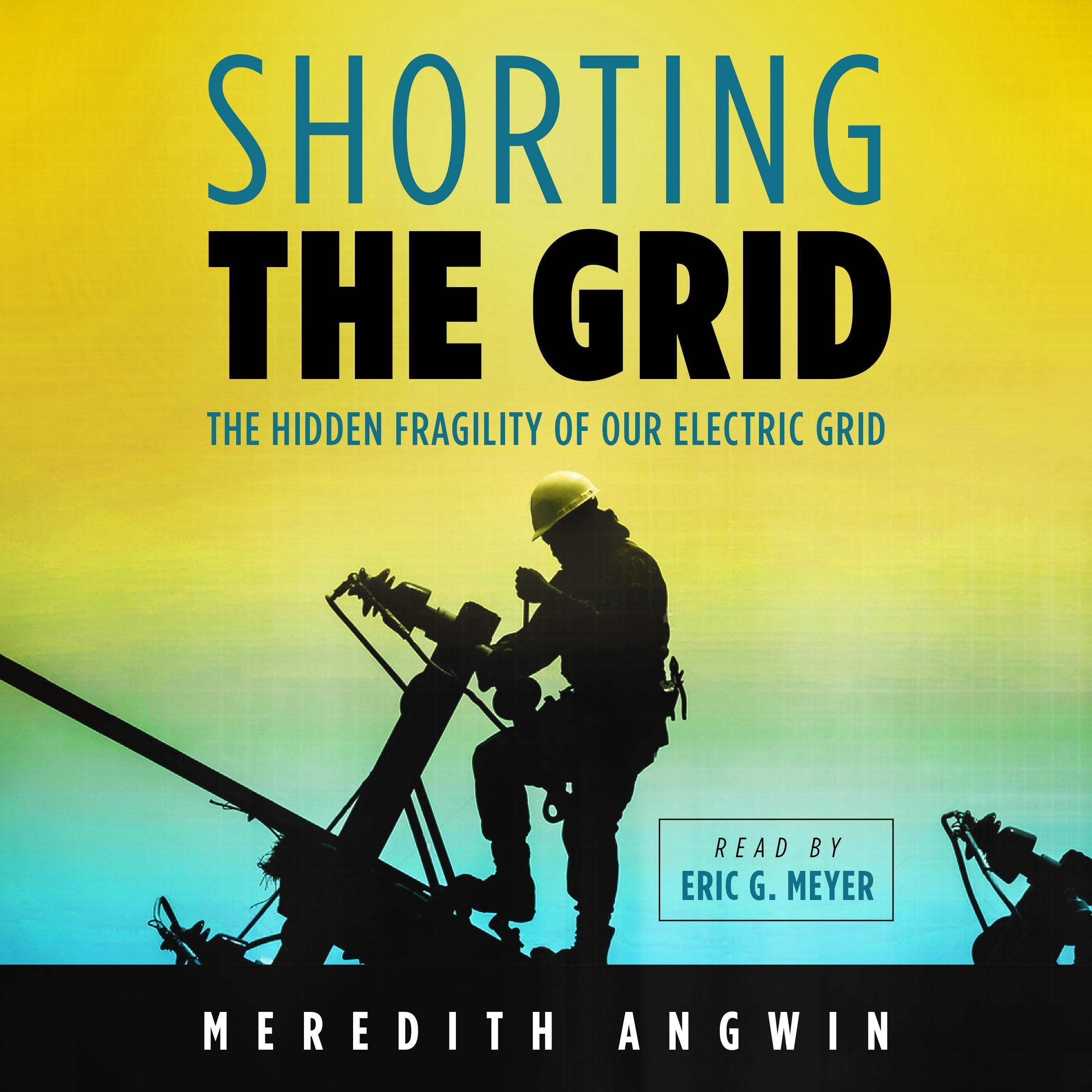Cover art for Shorting the Grid