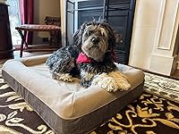 Review Image by Dusty Dusty