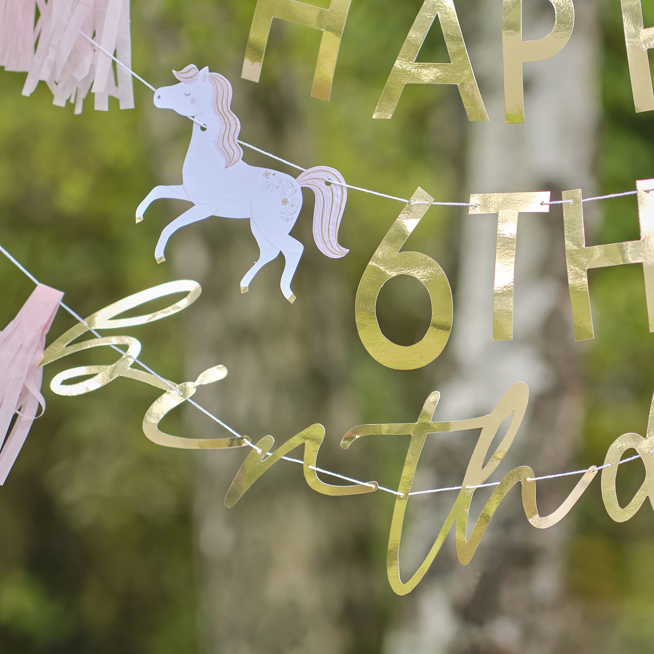 Ginger Ray Wimpelkette „Best Day Ever“ – Freche Party-Deko Mit Konfetti-Ballons