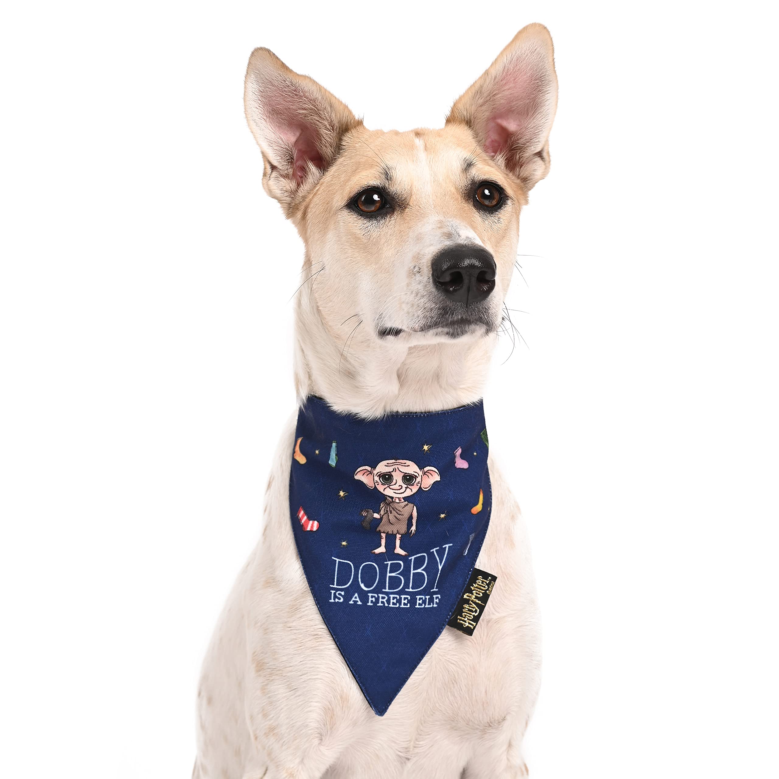 Harry Potter - Doggy Dobby Bandana - by Mutt of Course (Color - Blue) (Medium Size) (B09MFQYKL7) Amazon Price History, Amazon Price Tracker