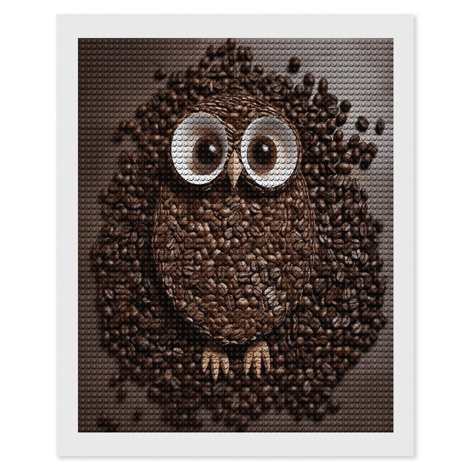 FekiLoot Coffee Bean Owl Paint by Numbers Kit for Adults Beginner DIY Diamond Dots Paintings Round Full Drill Diamond Art Kits Picture Diamond Art Painting Kits for Home Decor 16"x20"