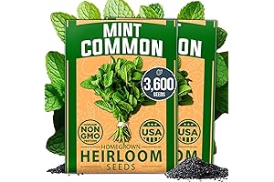 Premium Common Mint Seeds 2-Pack: Grow Your Own Fresh Indoor/Outdoor Mint for Tea