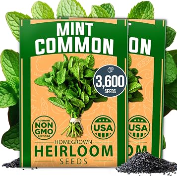 HOME GROWN Premium Common Mint Seeds Bulk Pack 3,600 Heirloom Herb Seeds, USA Sourced | Ideal for Planting Outdoors or Indoors for a Fresh Mint Tea Garden Mentha spp