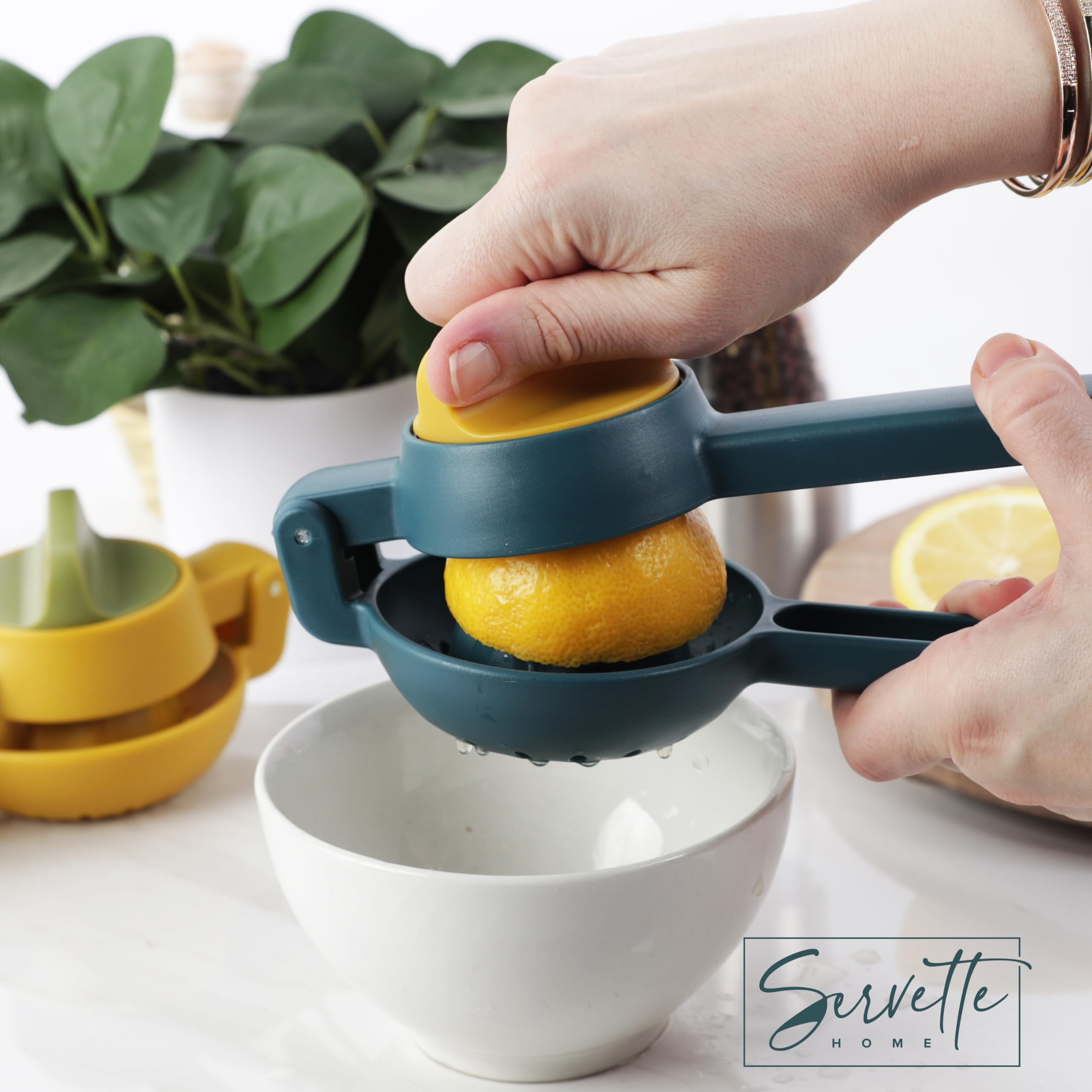 Amazon.com: Lemon Squeezer 2-in-1 Manual Juicer, 360° Rotating