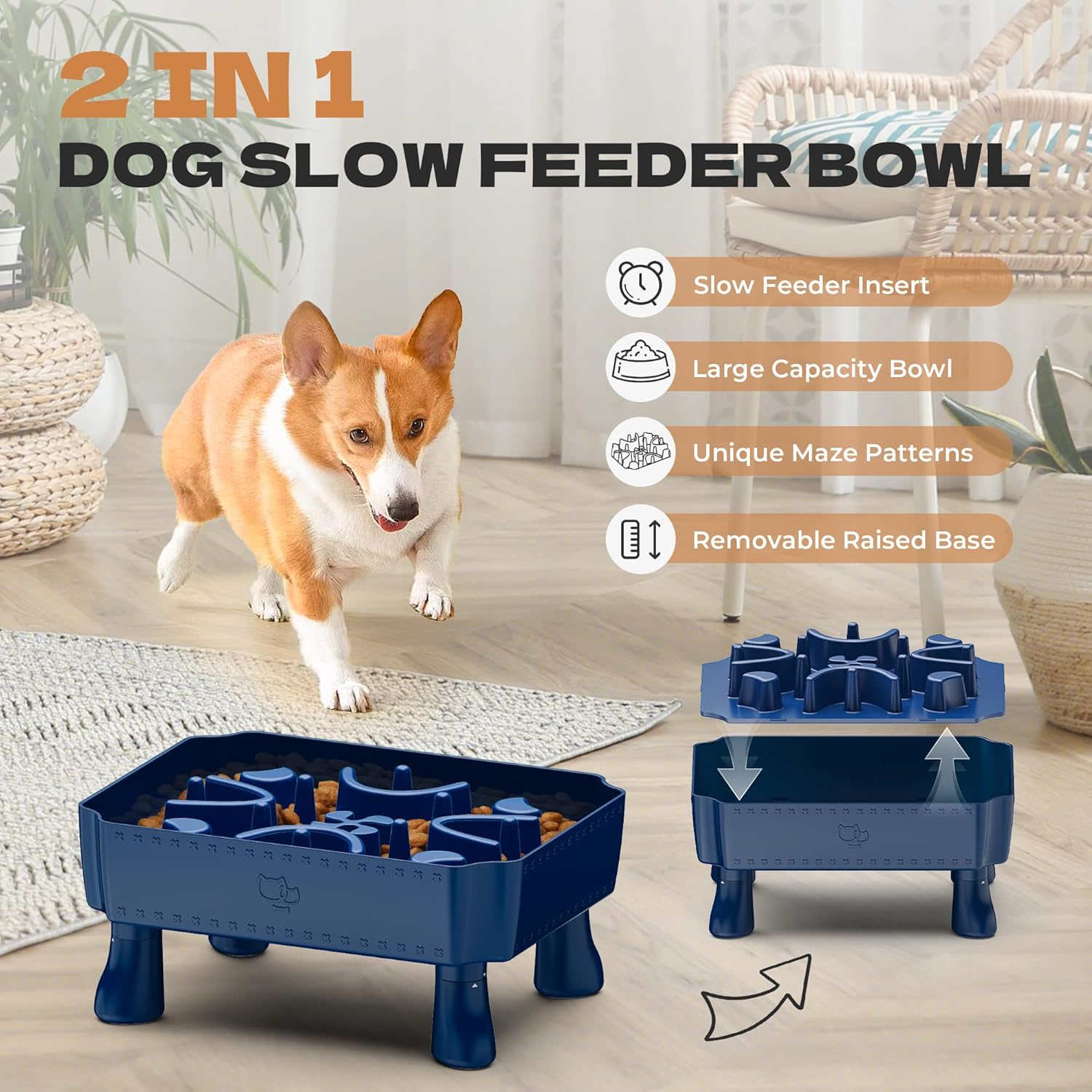 Transform Mealtime with UPSKY