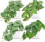 Der Rose 2Pcs Petites plantes fallacieuses artificielles Mini Faux Plantes pour salle de bain Bureau étagère Accessoires de table Décor Intérieur